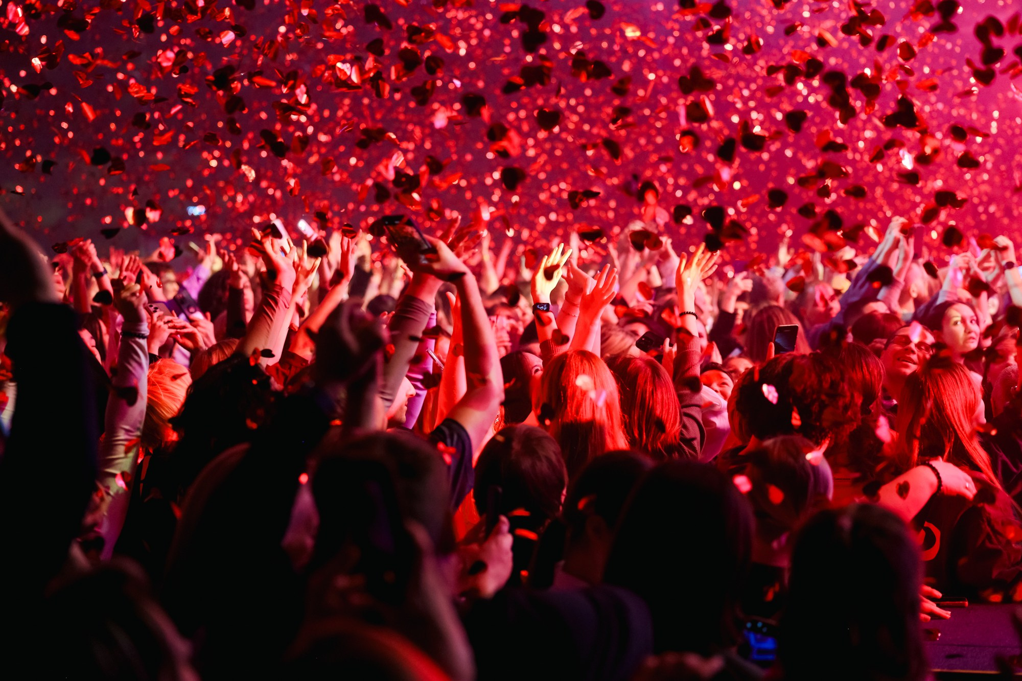 КОНЦЕРТ. Репортажный фотограф Наталья Лапцевич