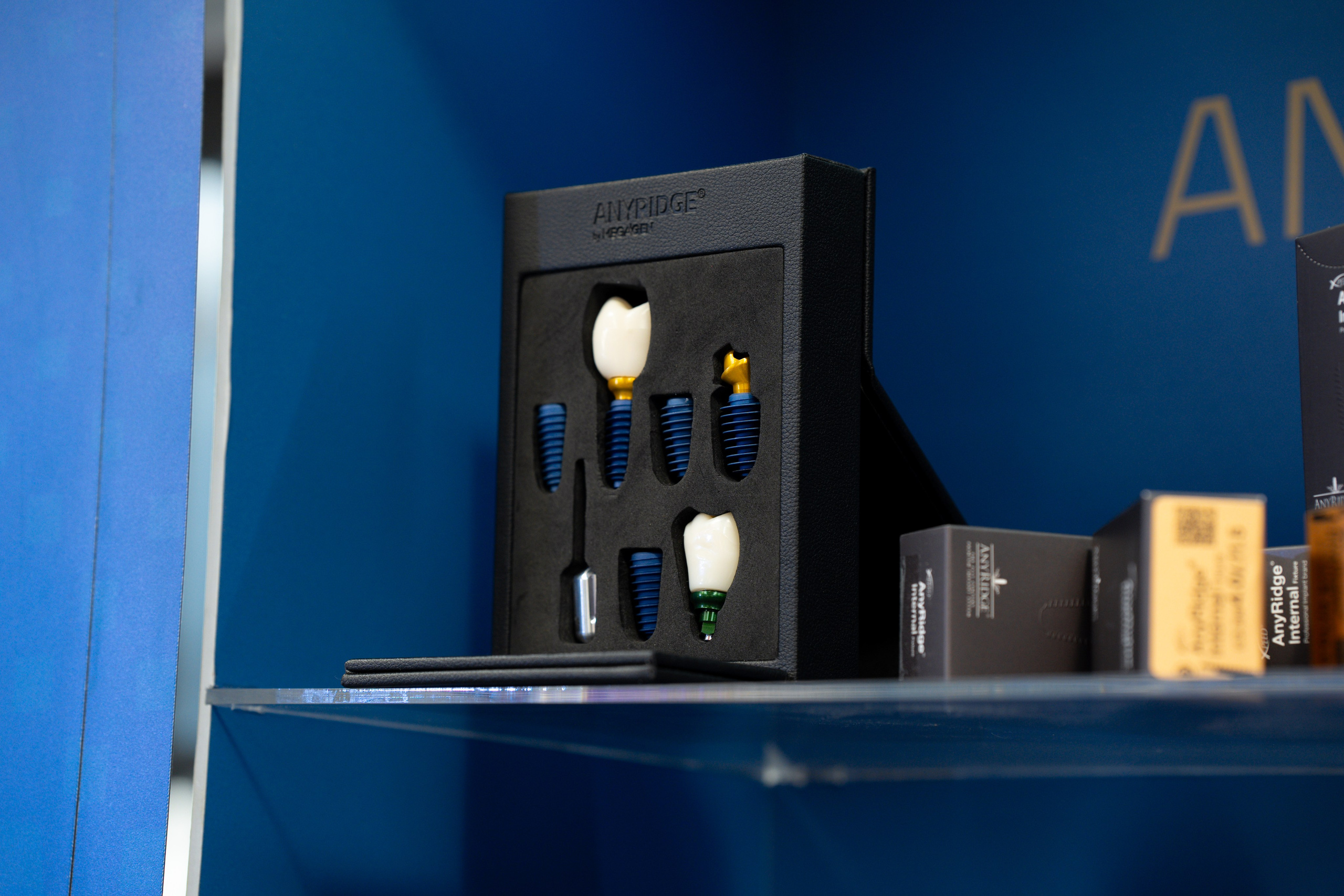 Синергиум. Фотограф Москва