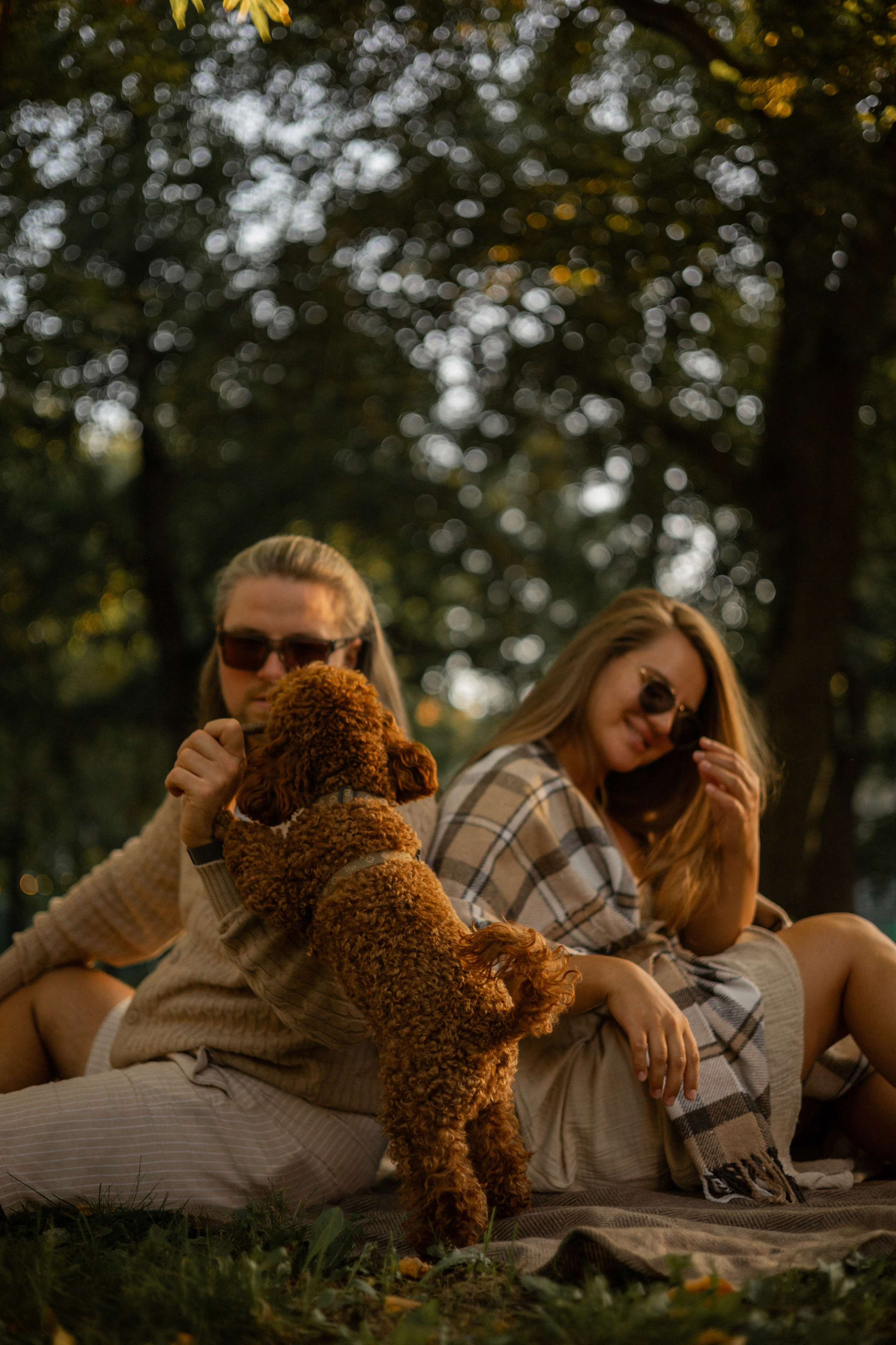 Мишель и её семья. Фотограф — анималист •love-story•|Санкт-Петербург