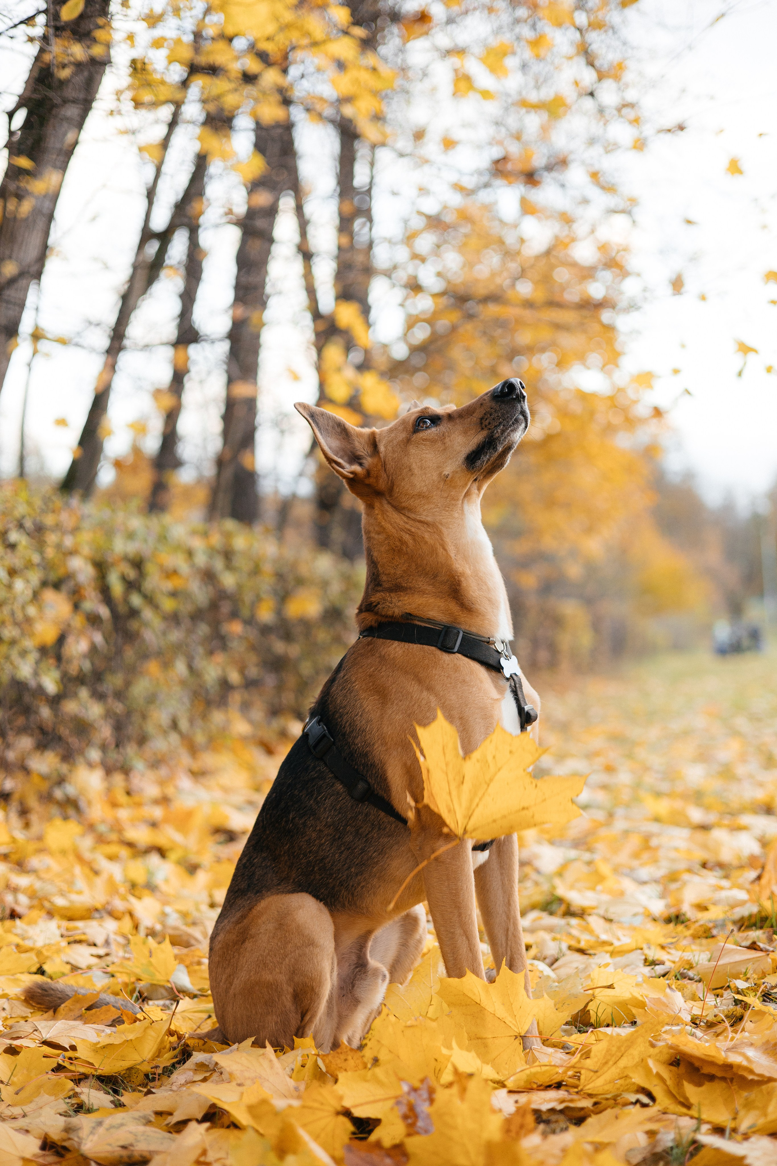 Нелли, Лёша, Рэй и Норд. Фотограф Анна Луценко Москва