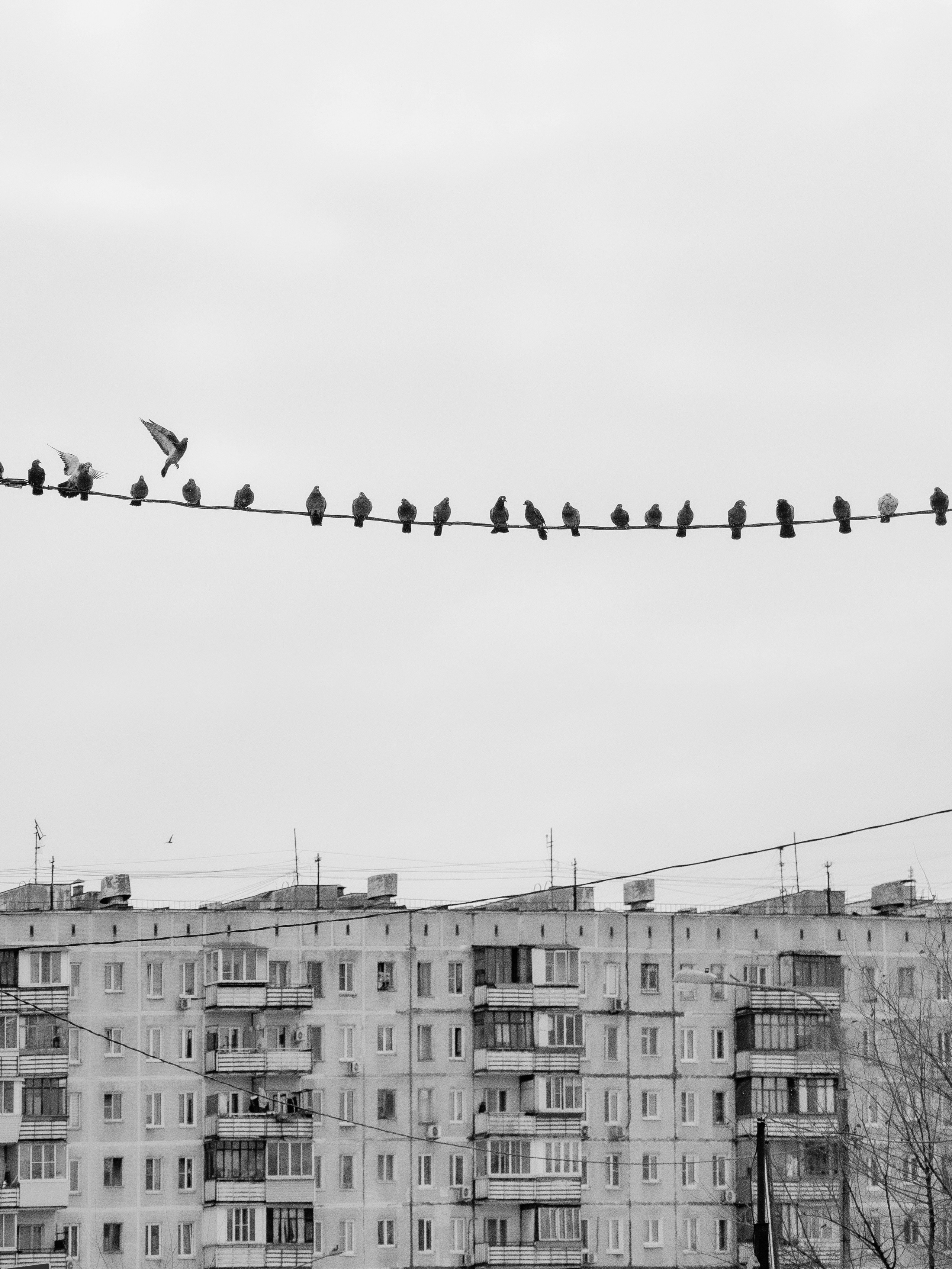 УЛИЧНАЯ ФОТОГРАФИЯ. Эд Тихонов. Городской фотограф