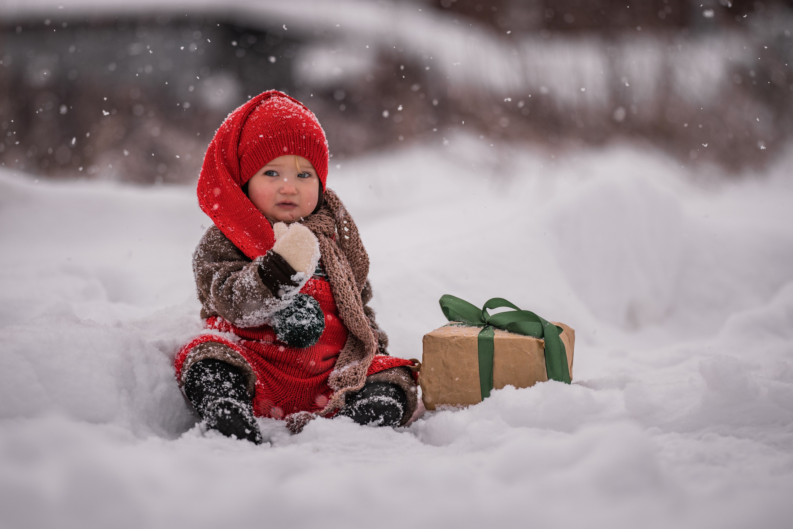 Снежная прогулка на санках. Семейный фотограф Ефремова Виктория
