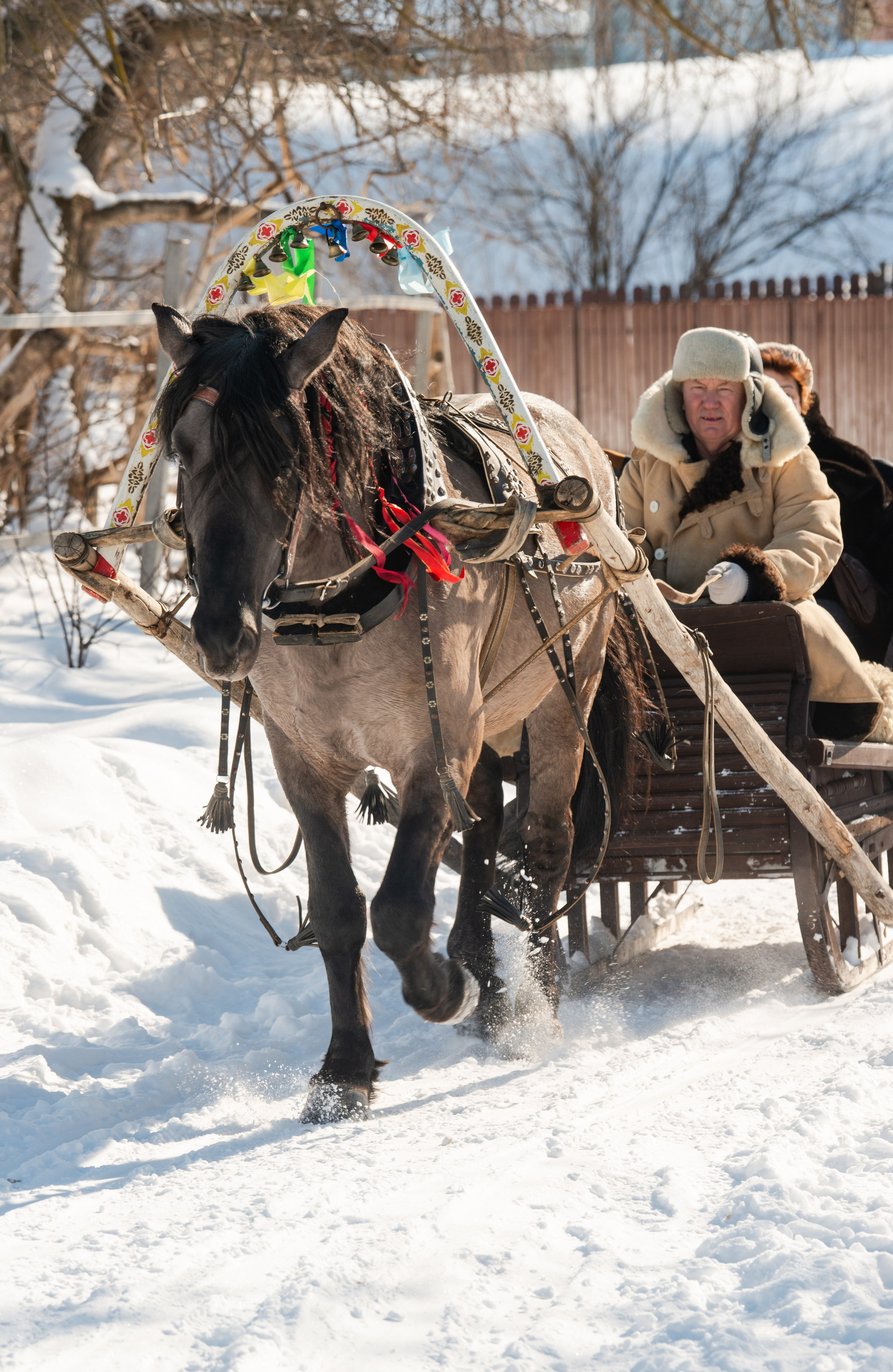 Масленичные гулянья в Боковке. Конный фотограф в Саратове Юлия Иванова