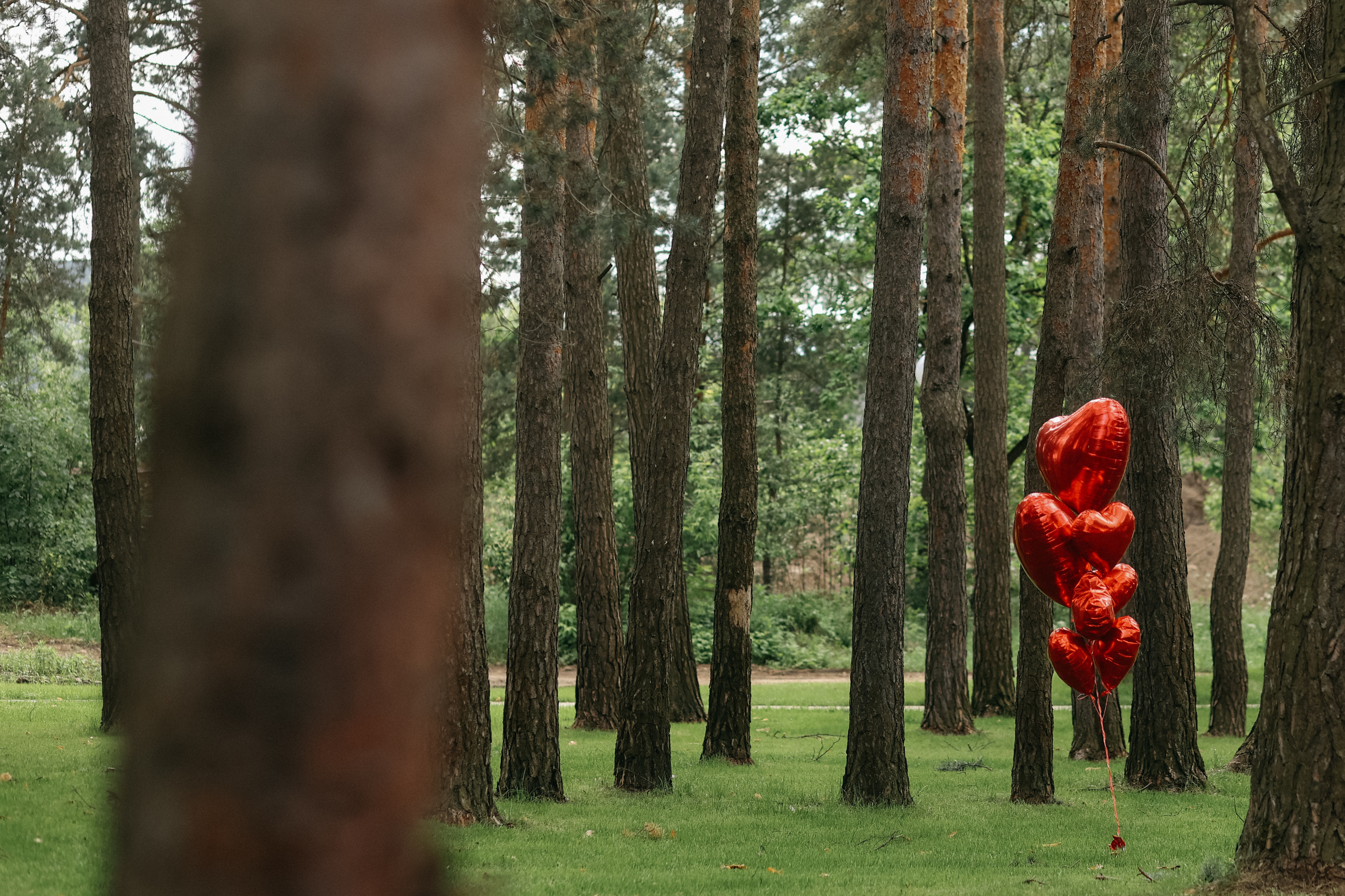 Wedding day Андрей и Света. Свадебный фотограф Полина Мишуринская