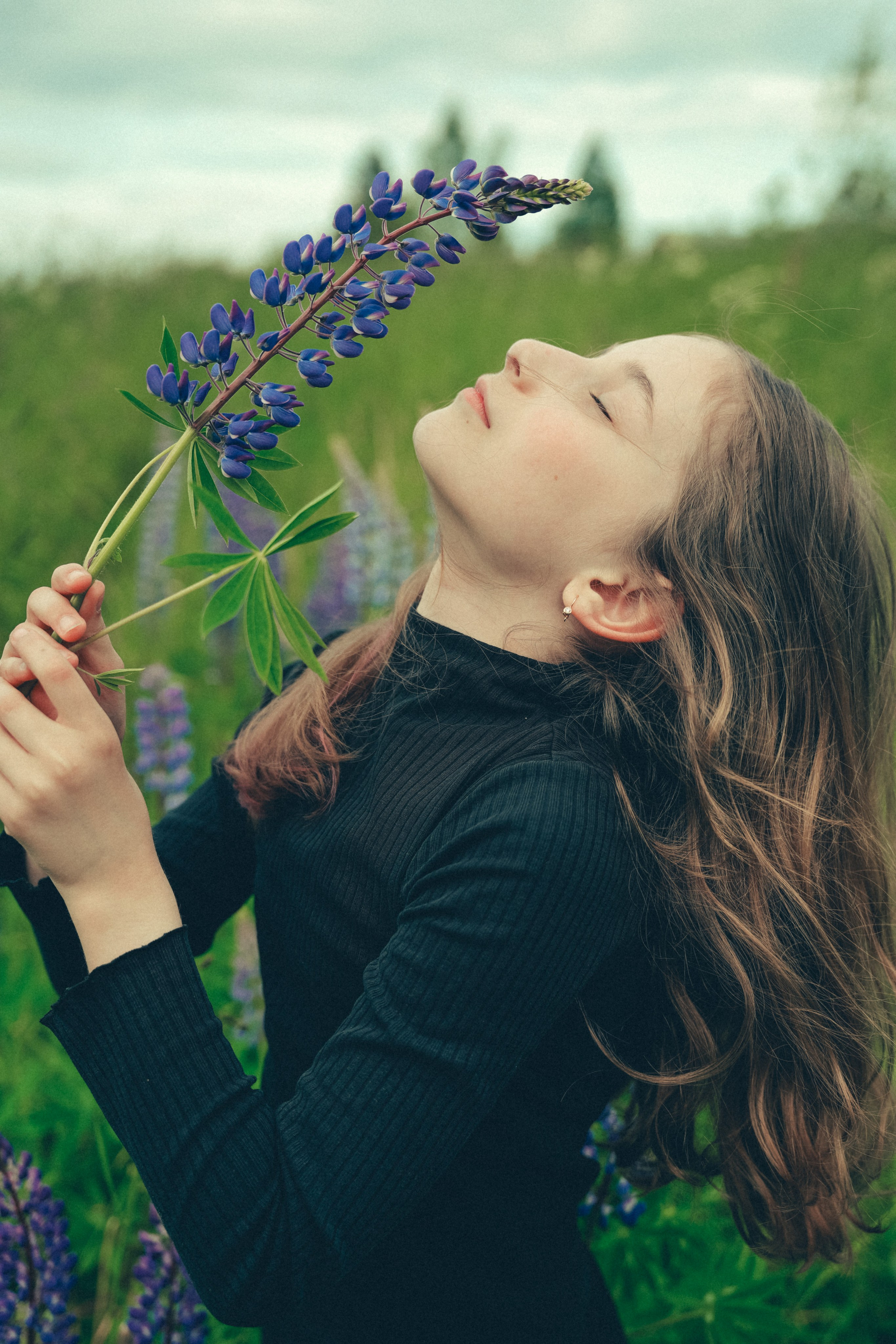 Люпиновое поле. Портретный фотограф в Санкт-Петербурге Дария Сыч