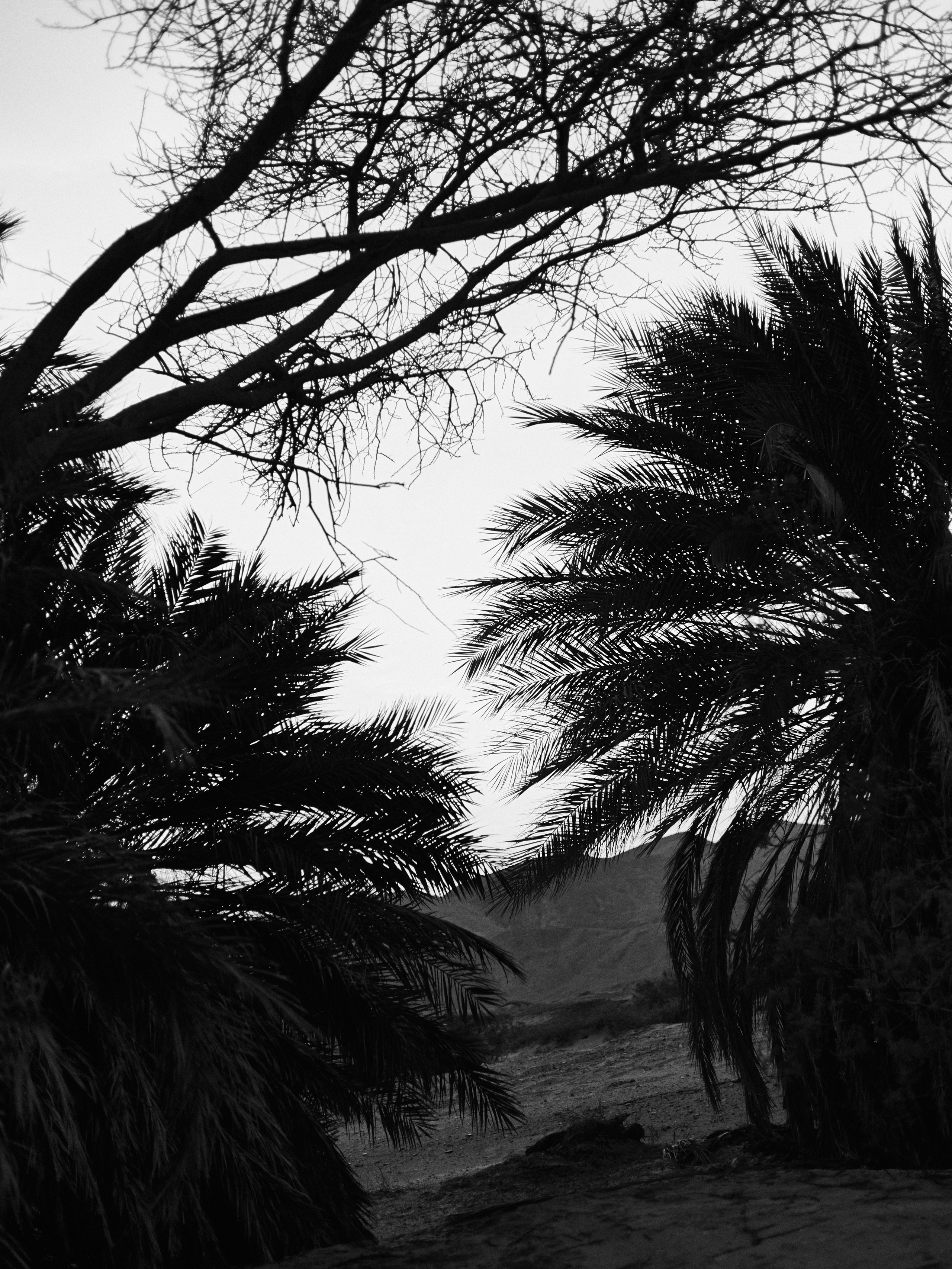 B&W. Jorgis — фотограф в Хургаде / обучение фотографии