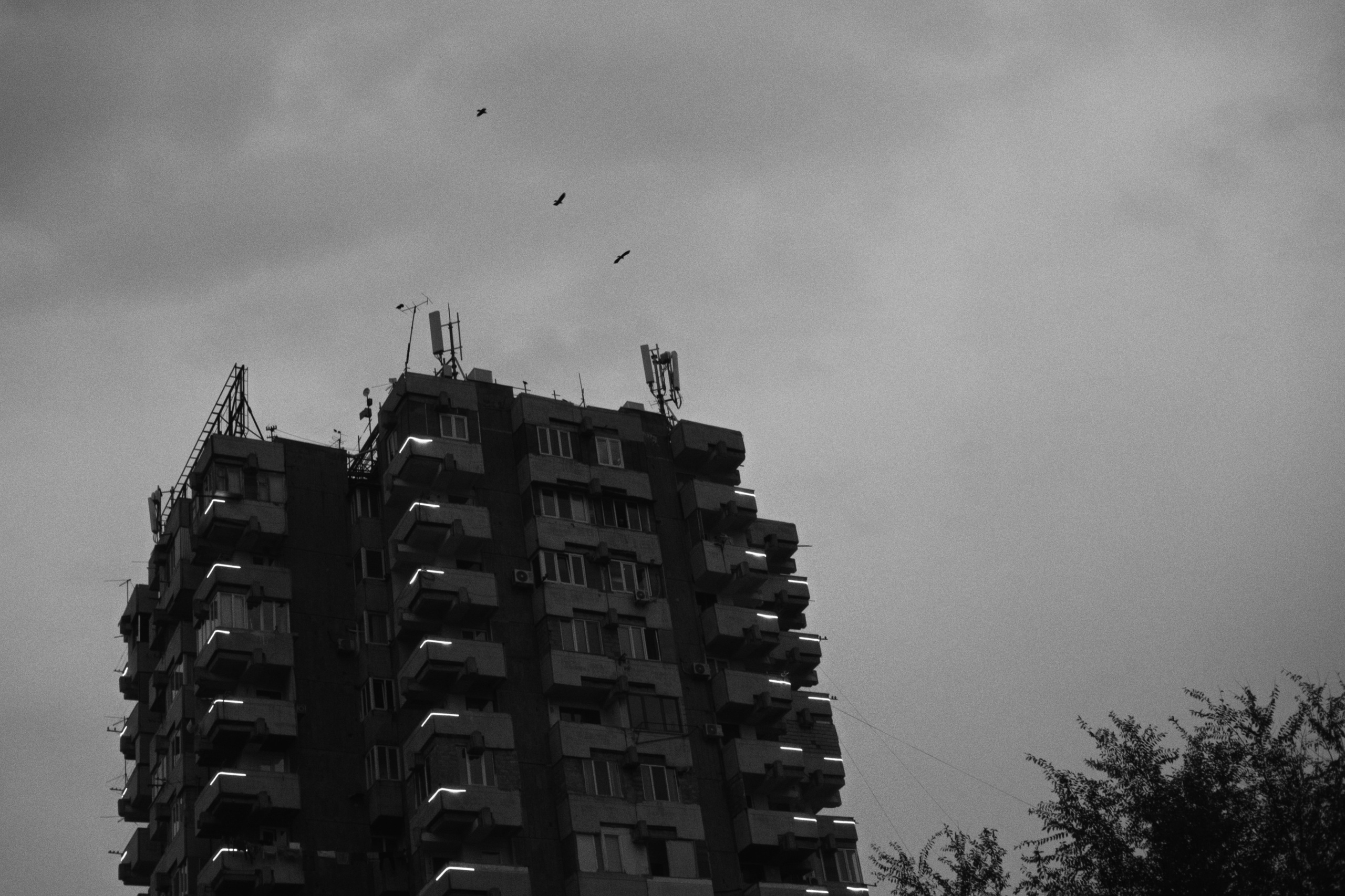 Yerevan / Armenia AW25. Фотограф Юрин Евгений