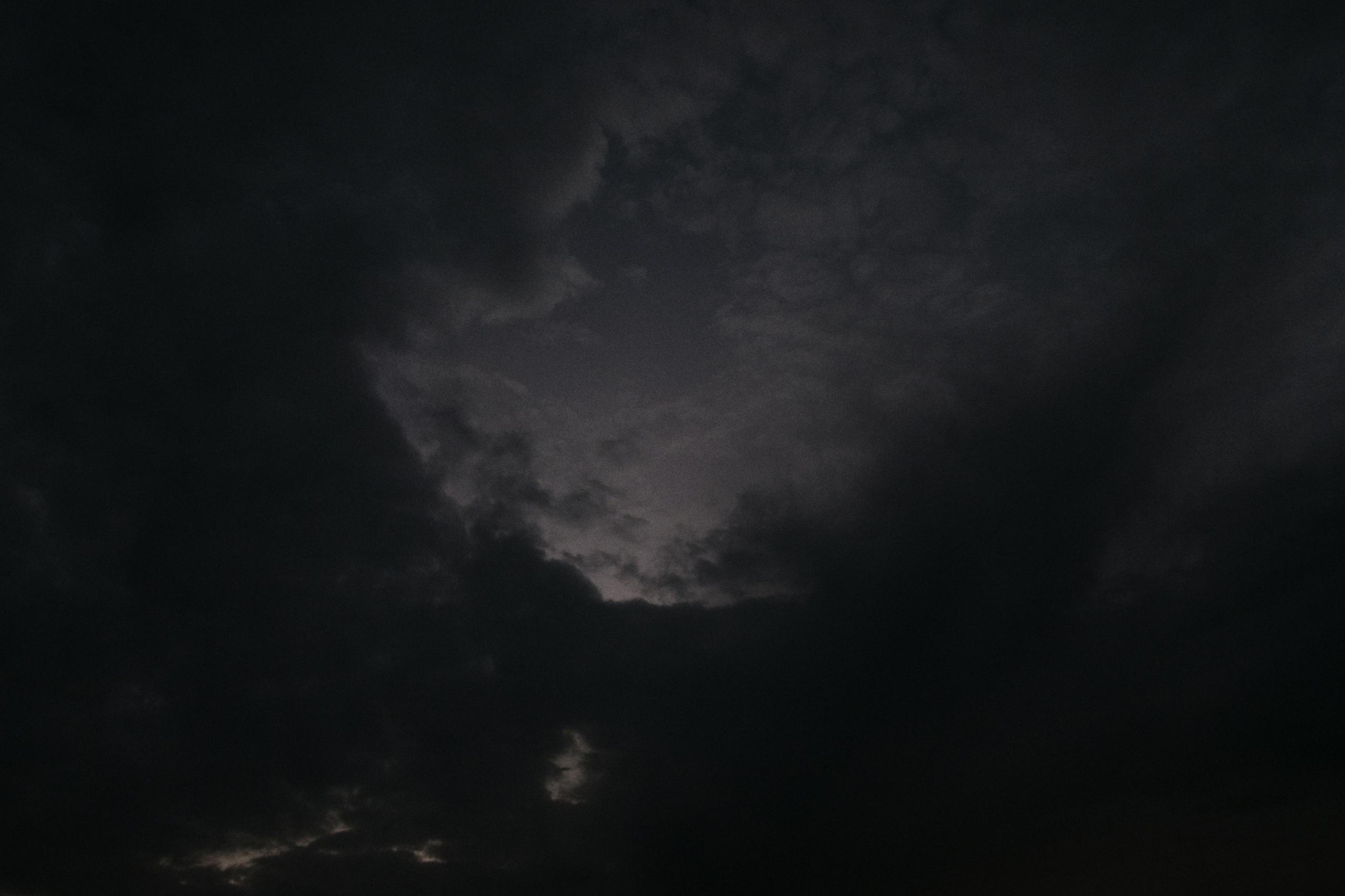 Alexandria / Egypt AW25. Фотограф Юрин Евгений