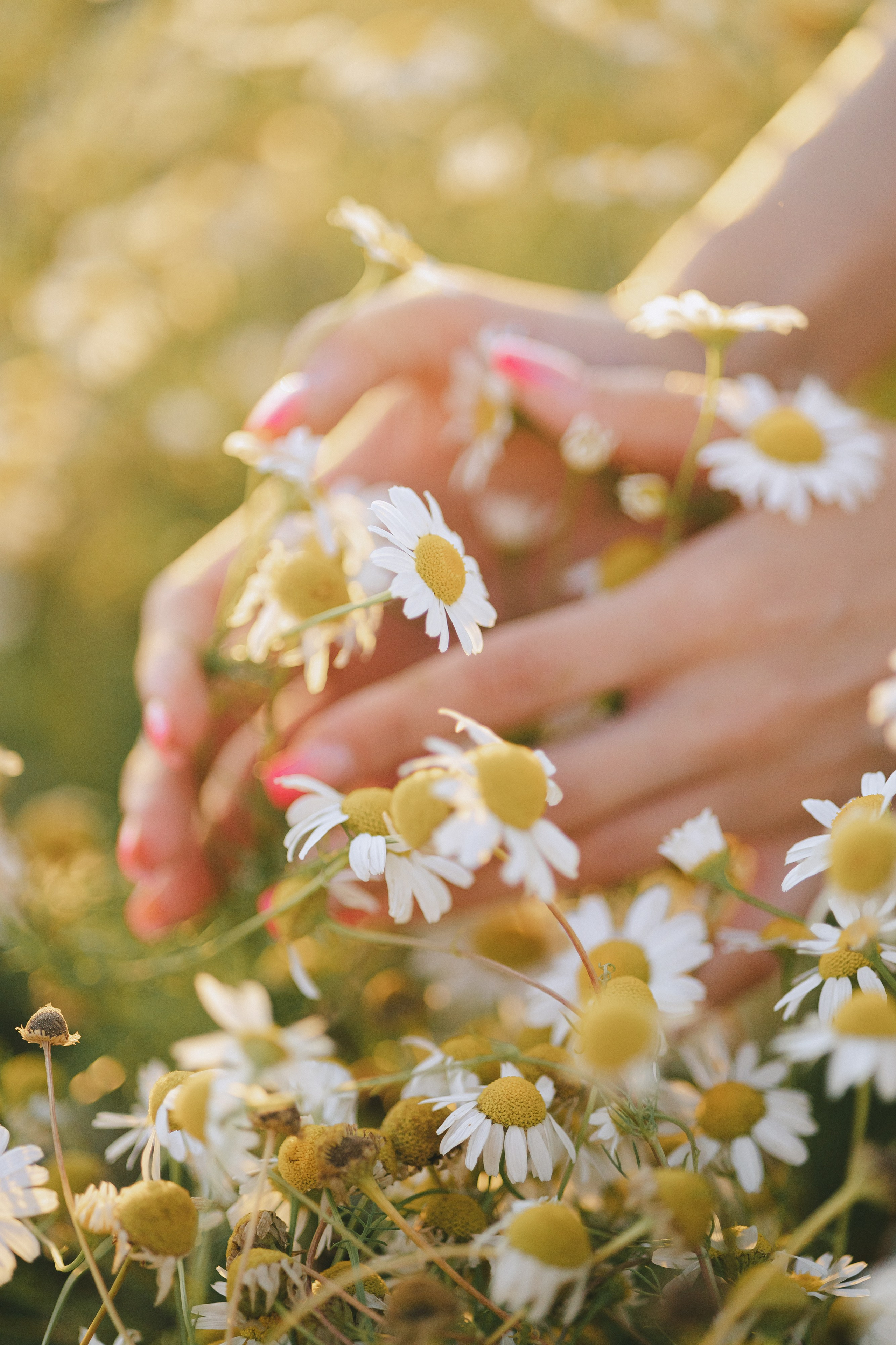 Вика. Фотограф Таганрог Любимая Надя