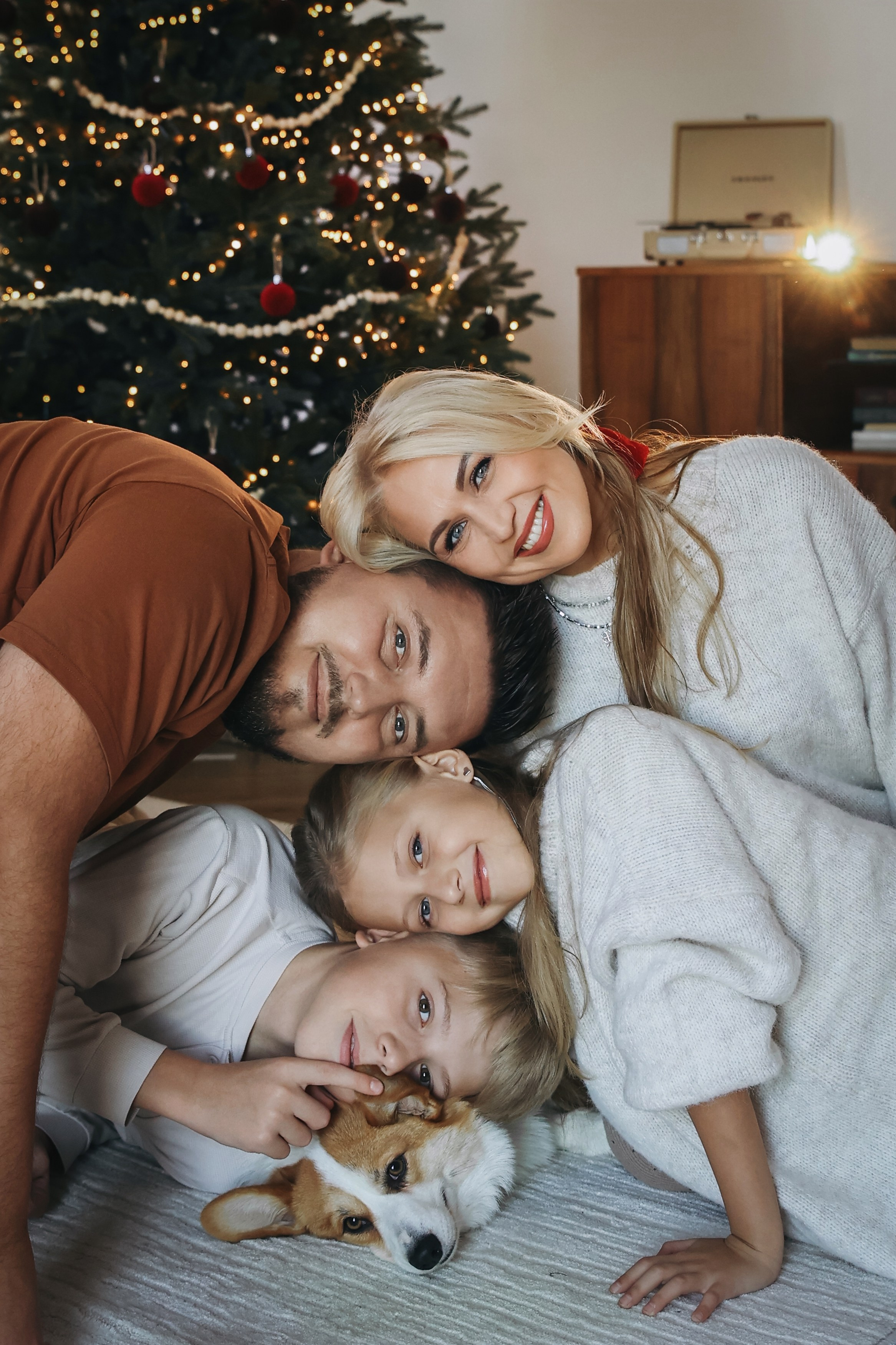Новогодняя фотосессия во Владимире съемка на новый год фотосессия в студии фотограф во Владимире фотограф в Москве корги. Фотограф Владимир Москва