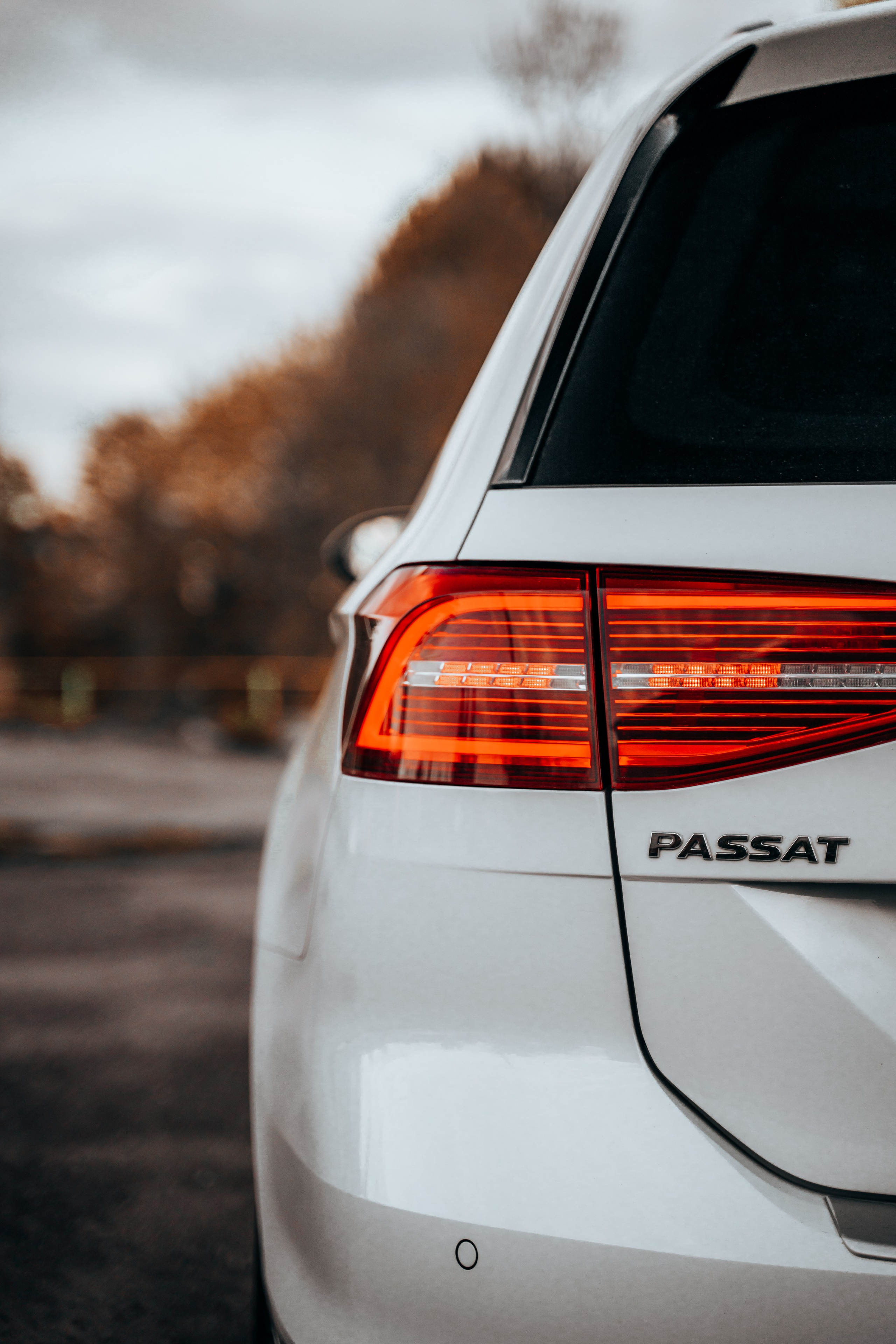 VW Passat B8 Project. Vlad Trykov