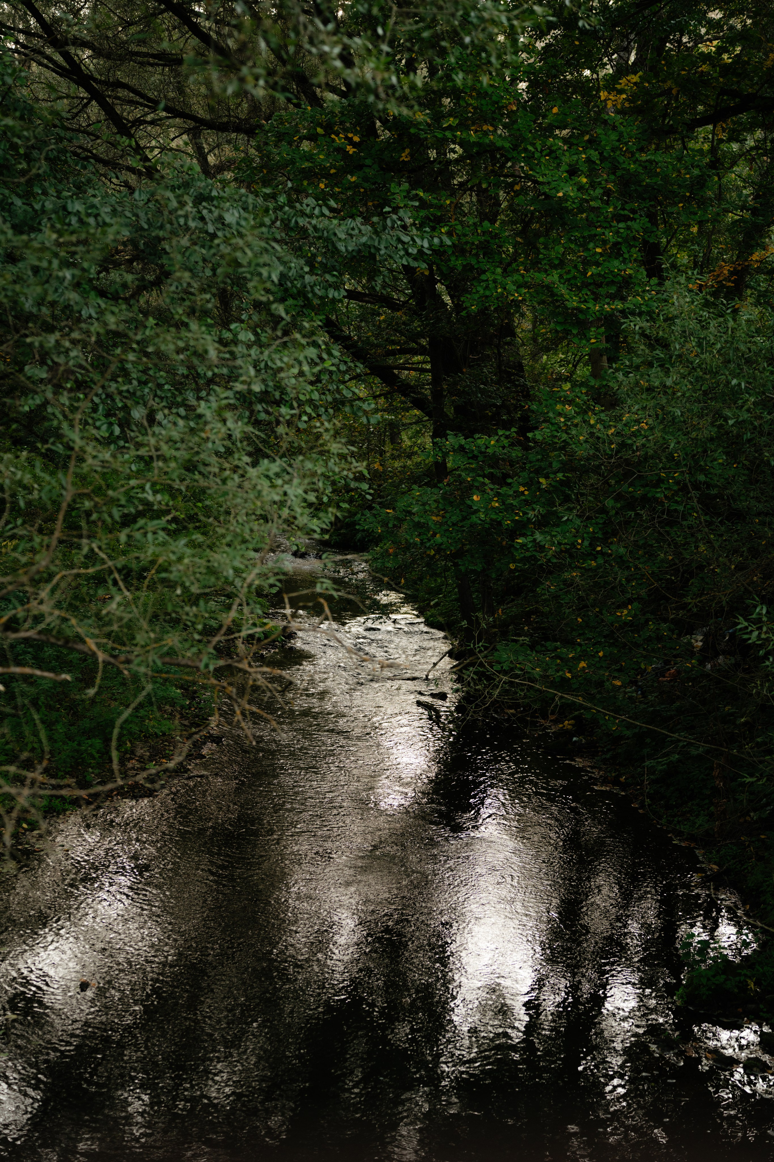 Дугна. Vlad Trykov