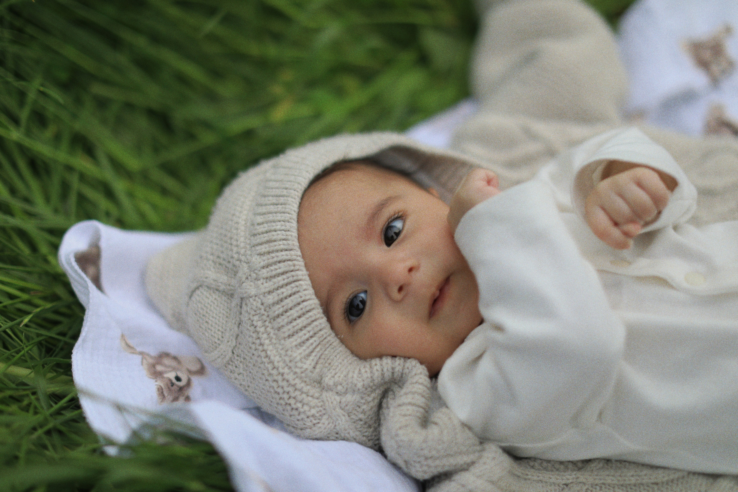 В тебе вся моя нежность. Rose Korenevskaya|Ваш нежный фотограф