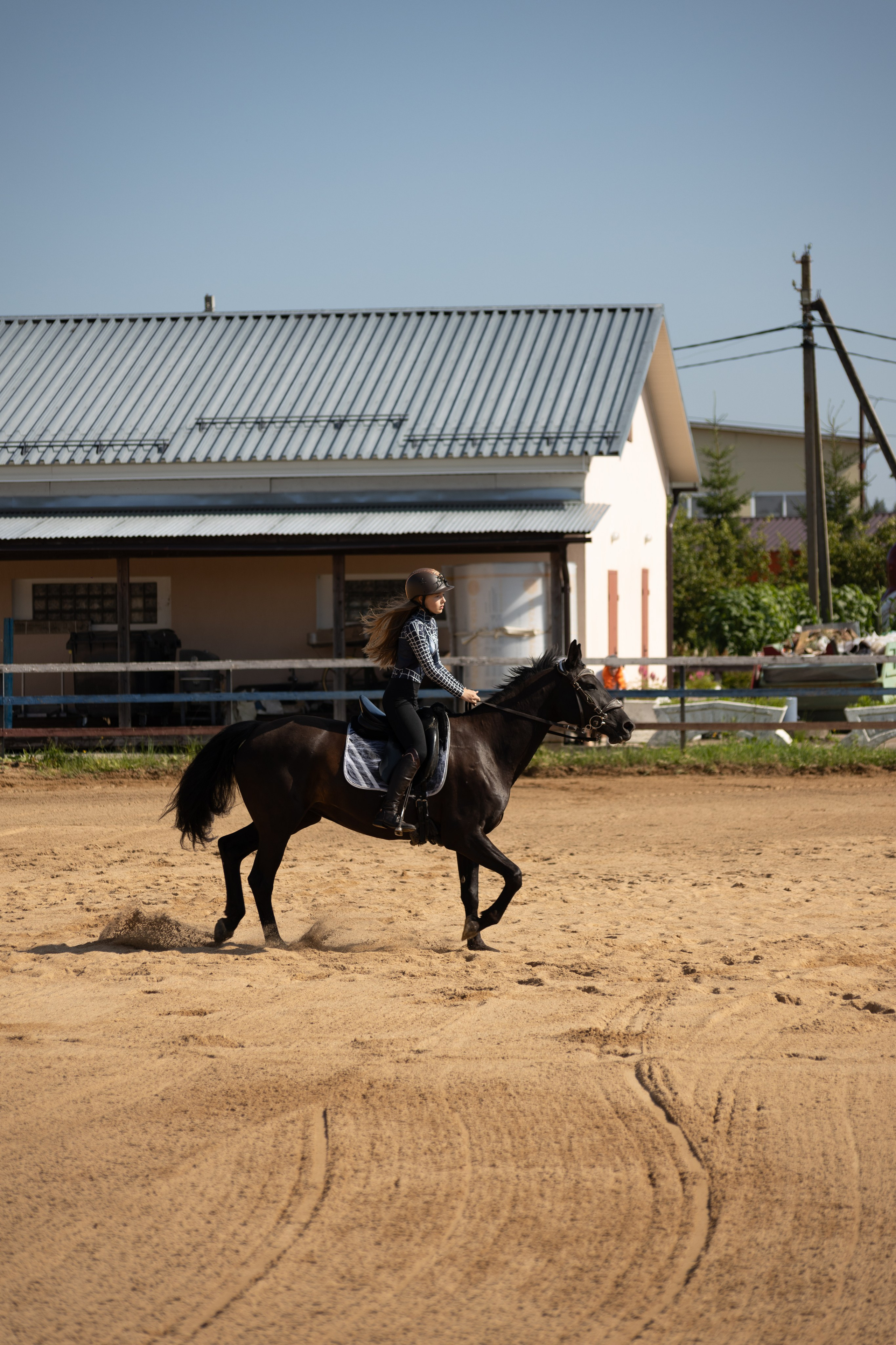 Конюшня. Фотограф в Москве и Истре