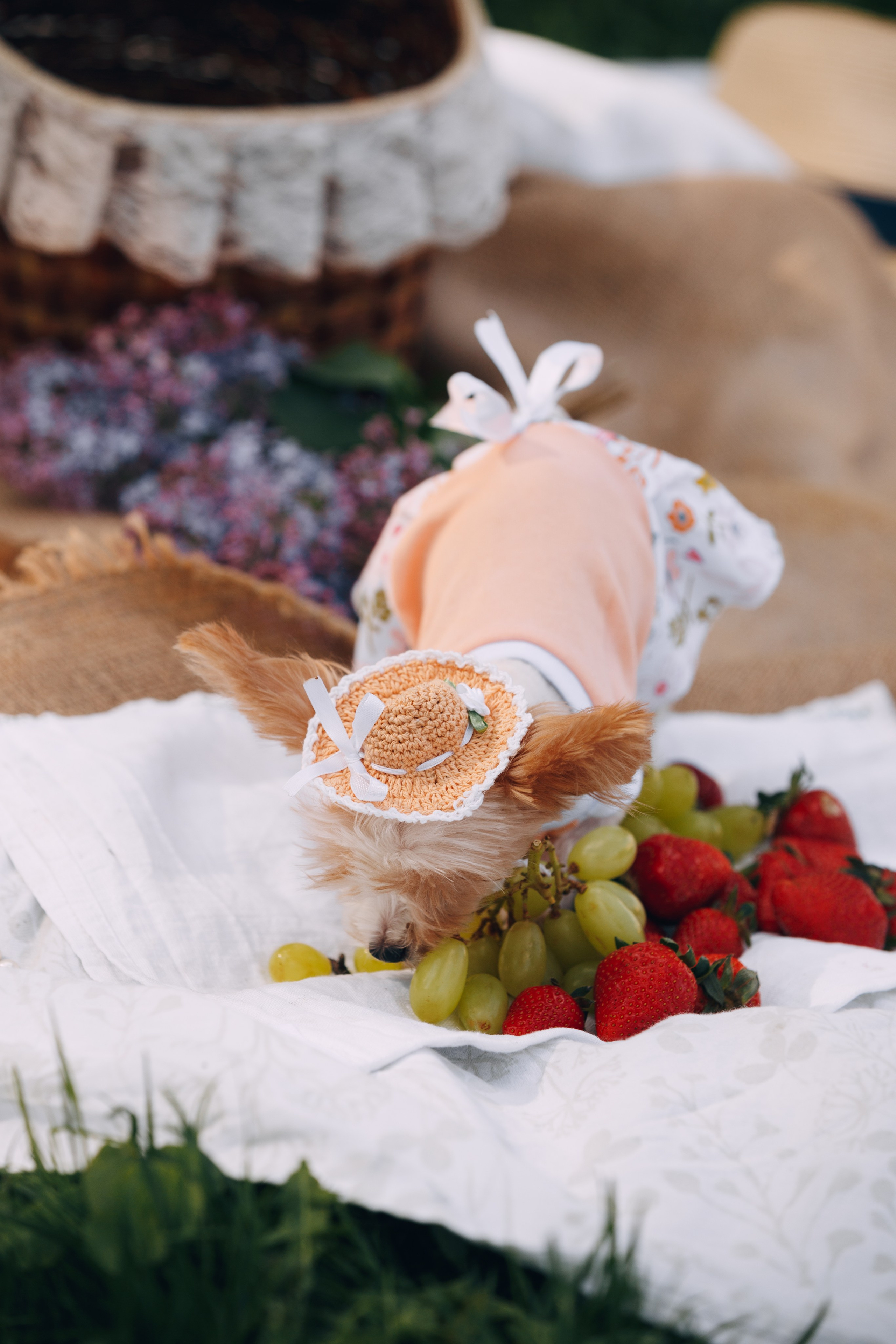 Оля, Патрик, Мейли и Джонни. Фотограф анималист Кристина Карпова, Москва