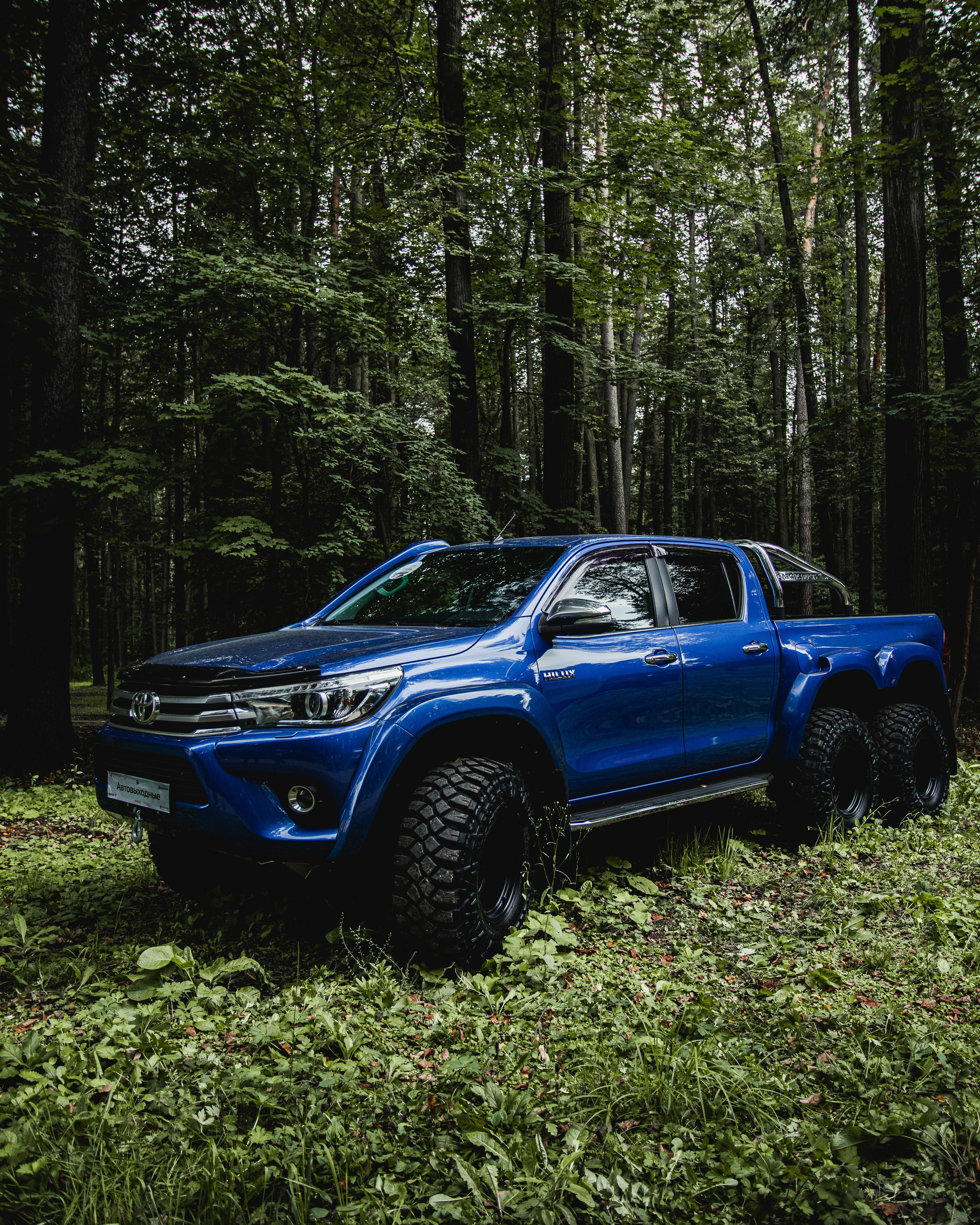 Автовыходные в Архангельской усадьбе. Спортивный фотограф — Никита