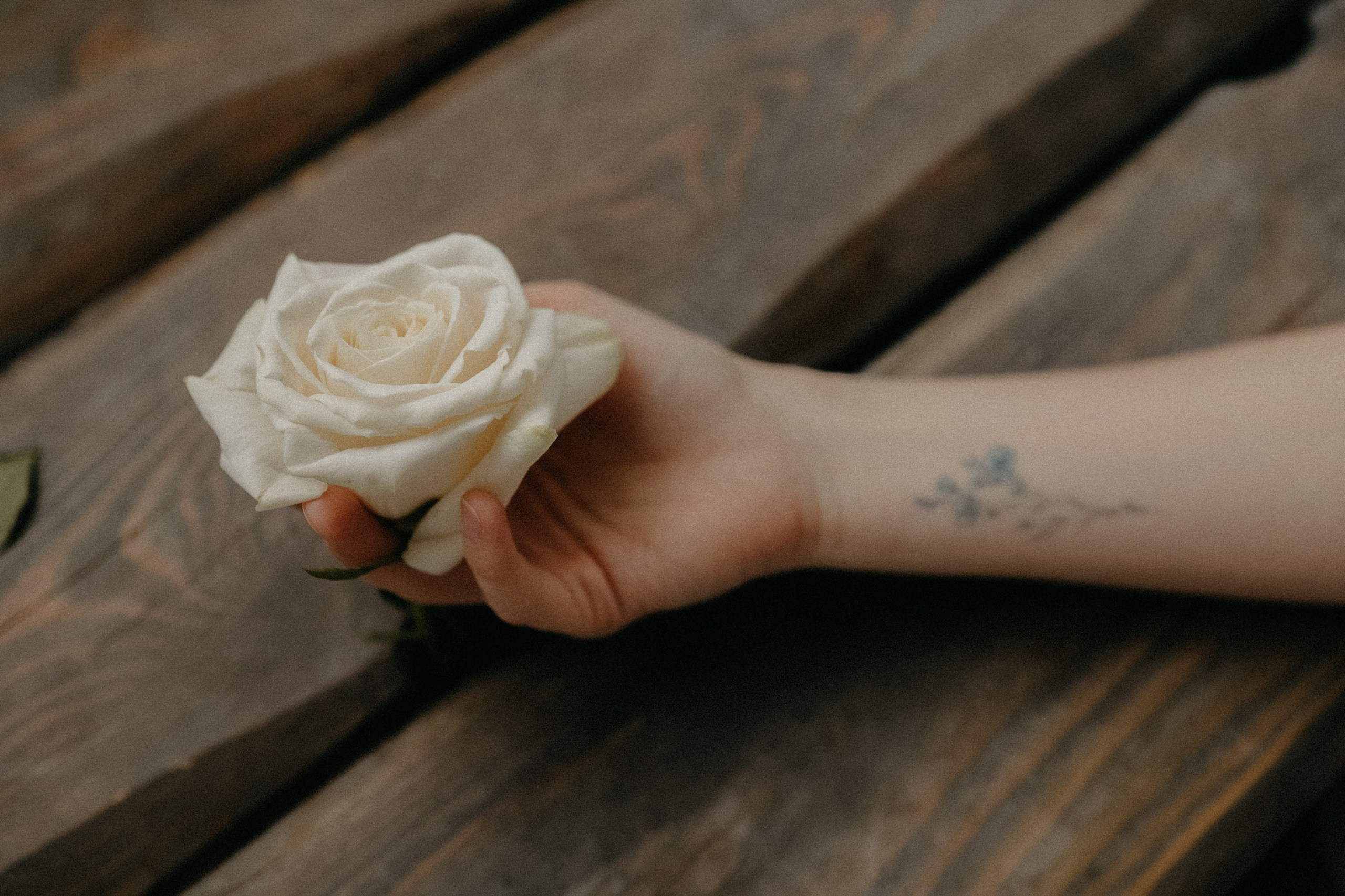 Свой фотограф Нижний Новгород