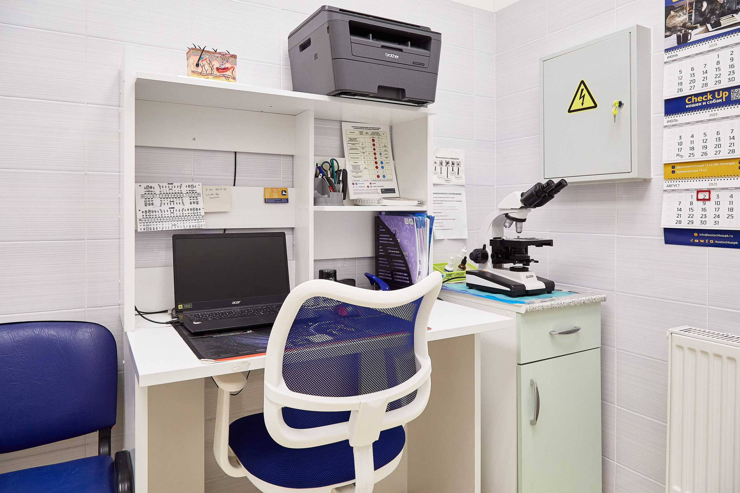 Ветеринарная клиника Косточка на Дальневосточном пр. Фотограф Анастасия Леонтьева Санкт-Петербург