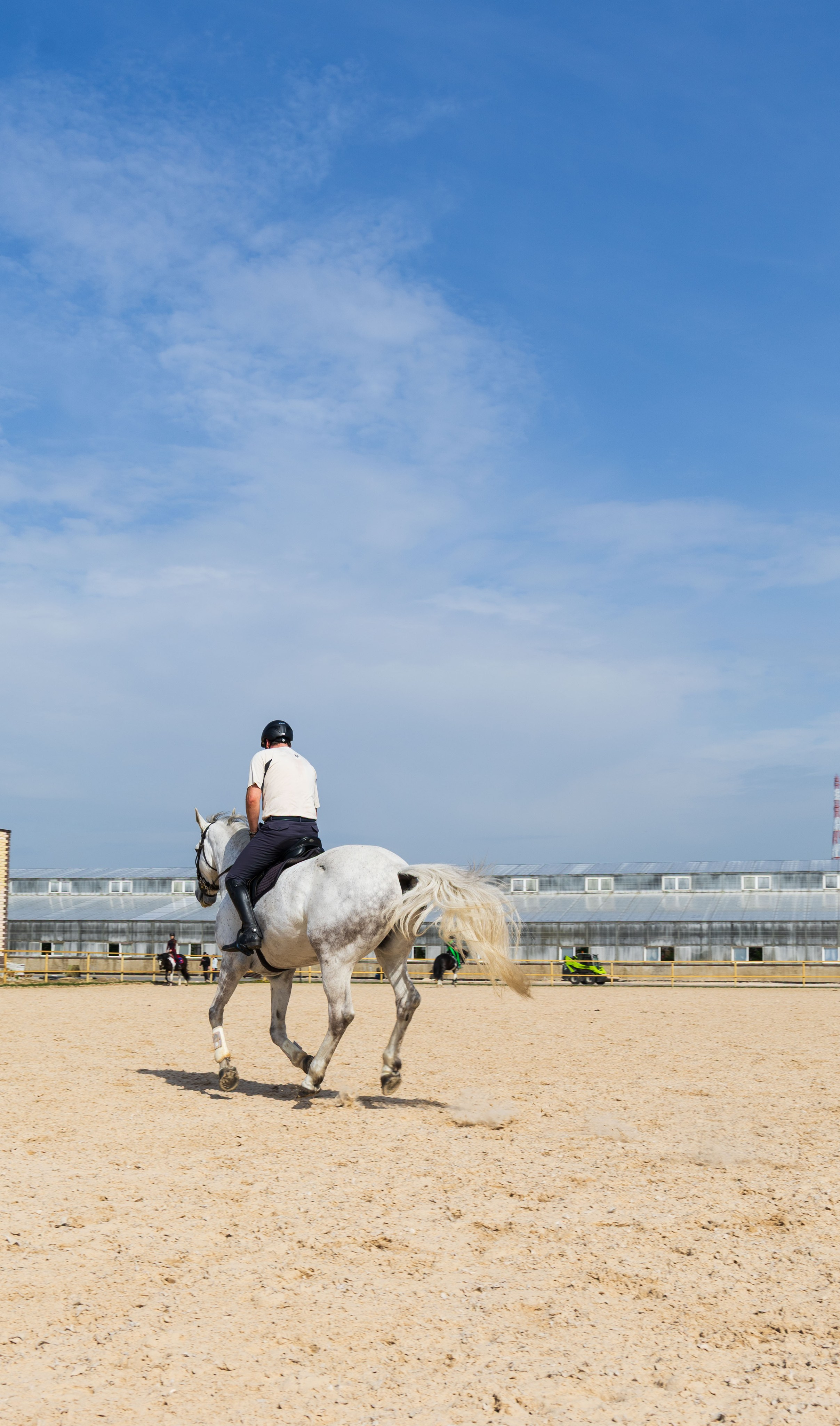 Репортаж.Конная тренировка. Портретный и семейный фотограф Санкт-Петербург