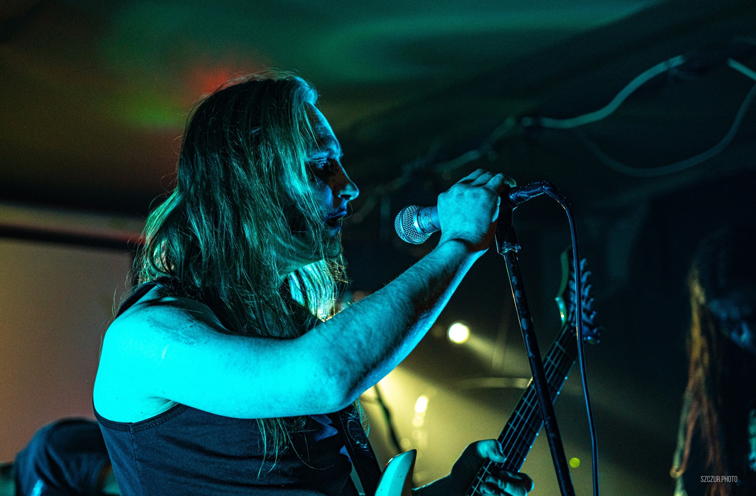 Волчьи Трупы в Городе 6.01.25. Szczur photo