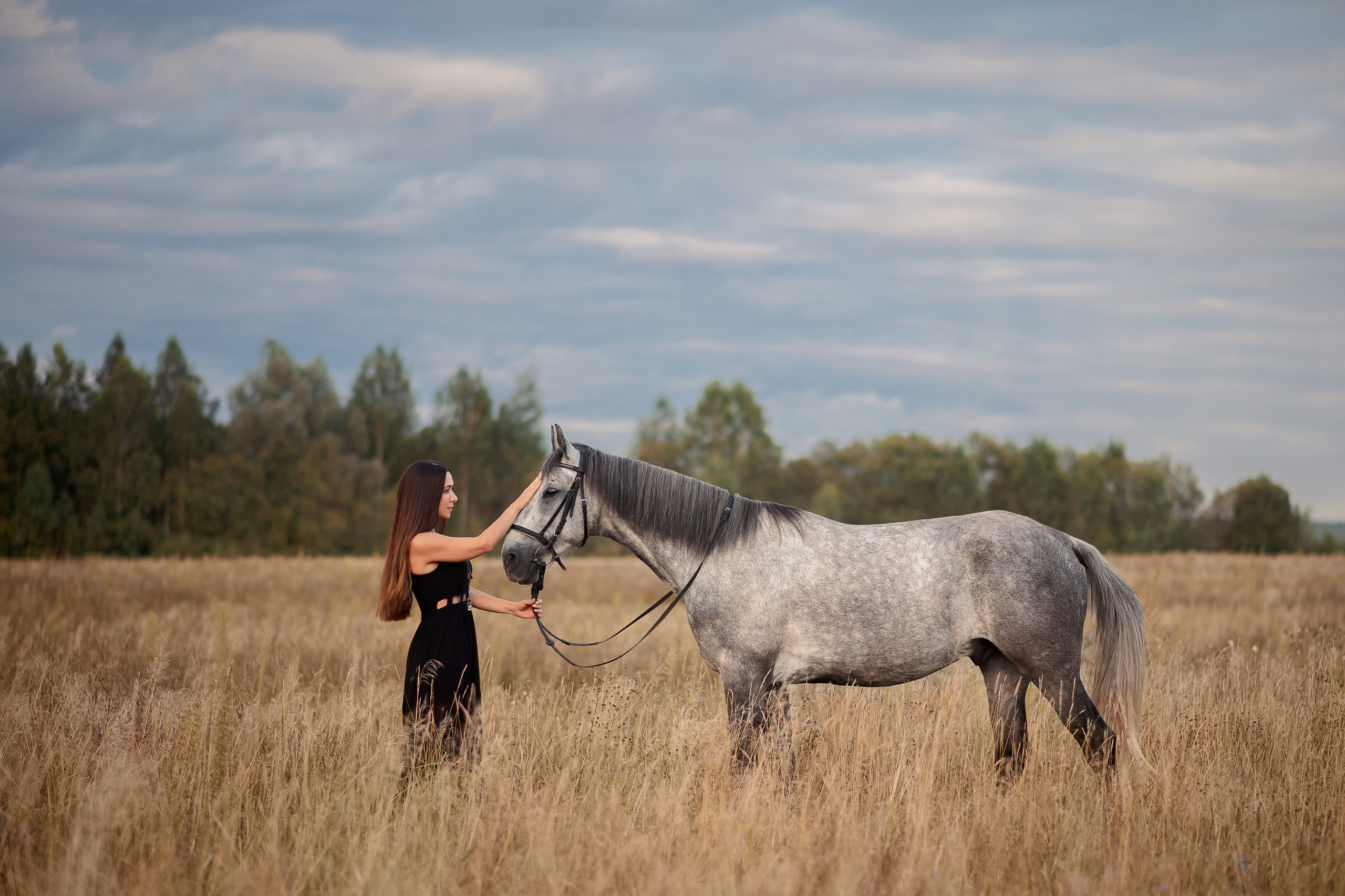 Мария и Дакар — 16.08.2024. Фотограф — Анималист | Анна Абрамова