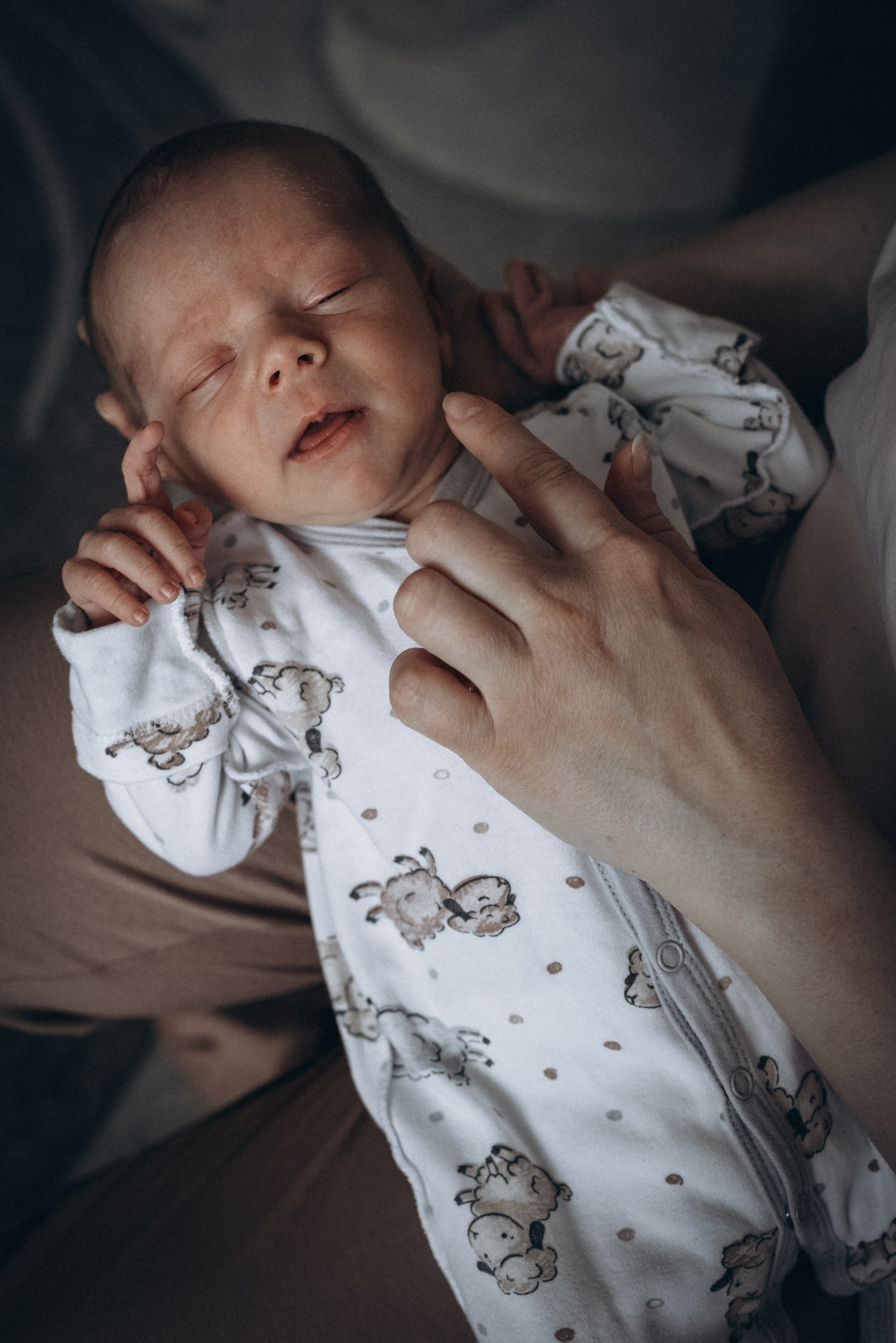 Антон, Наталья, Лиза и Егор. Семейный и детский фотограф Лариса Ерданова в Екатеринбурге