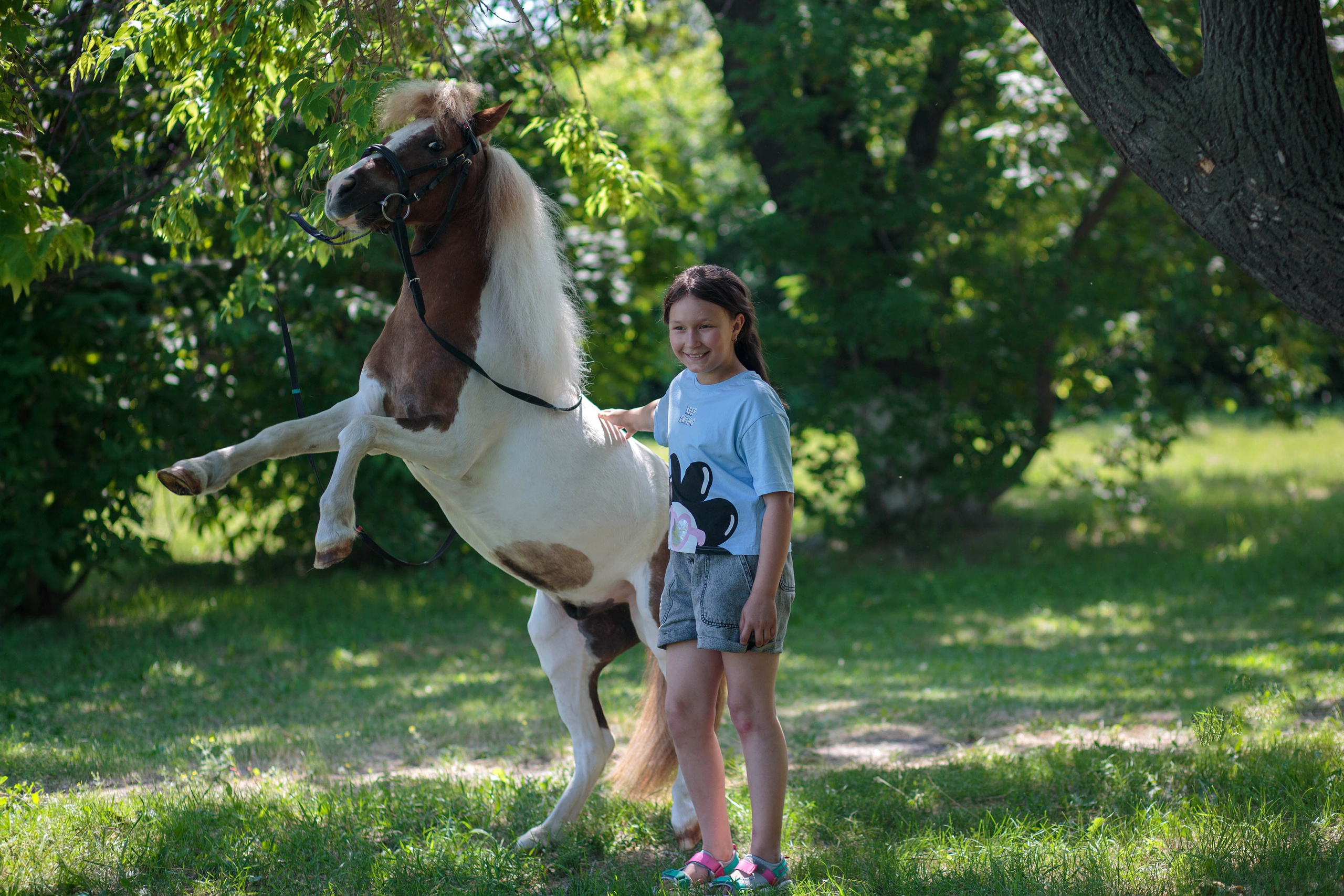 Пони и дети. Конный фотограф в Красноярске — Любовь Похабова