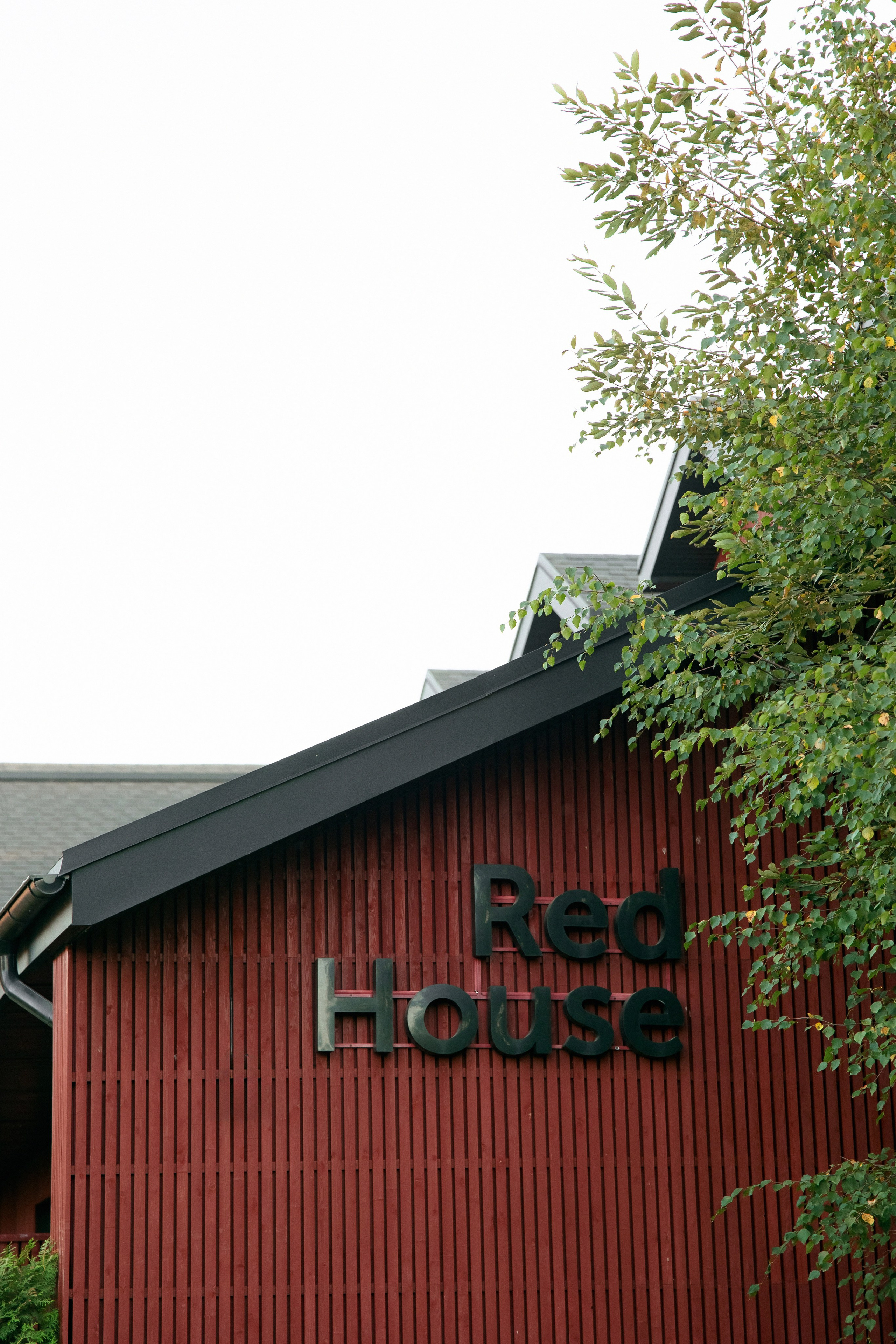 Золотая осень Андрея и Дарьи в Art Village Club. Свадебный фотограф Москва