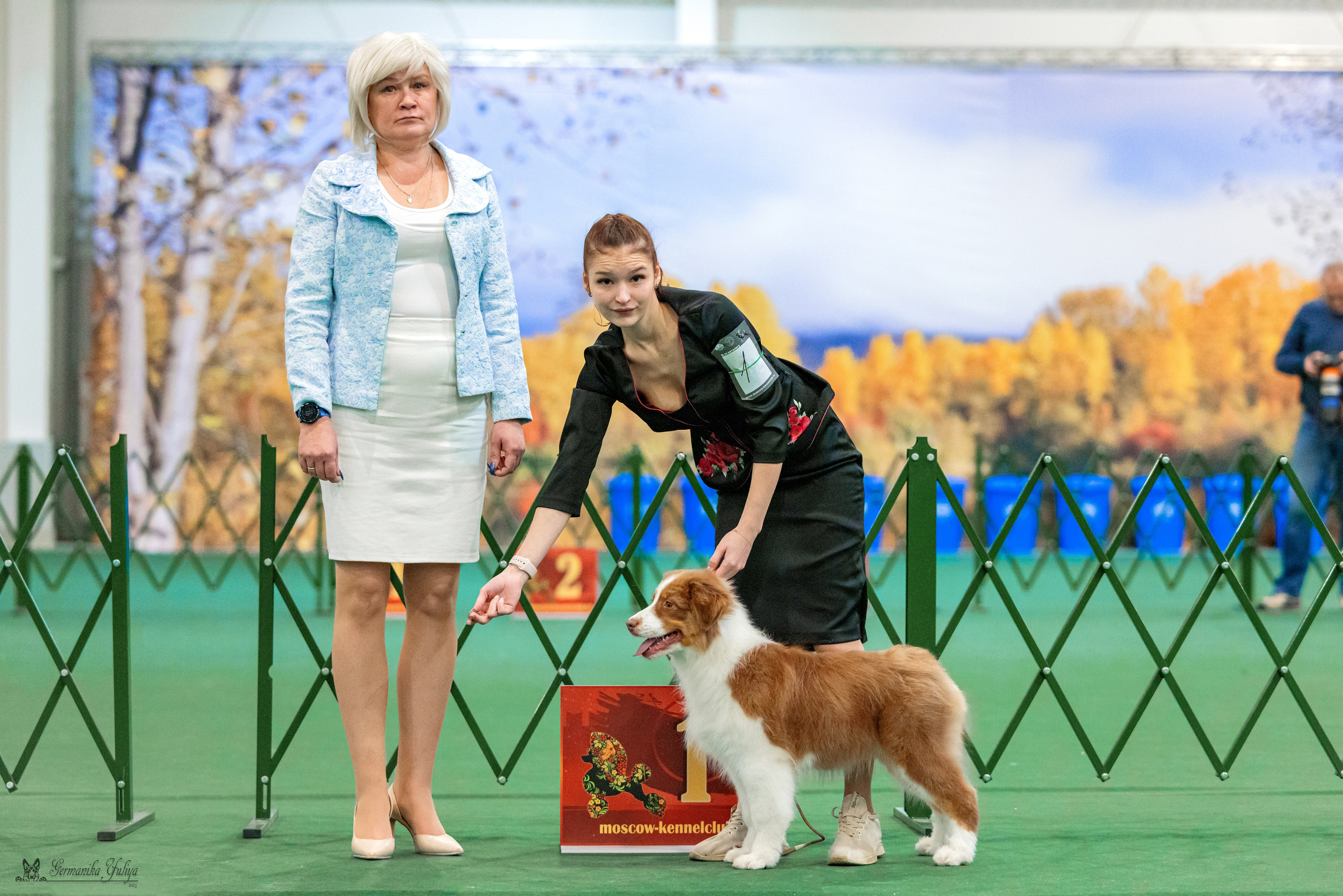 Сфера 29.10,Крокус 4.11,Сфера 12.11.2023. Фотограф-анималист Юлия Германика