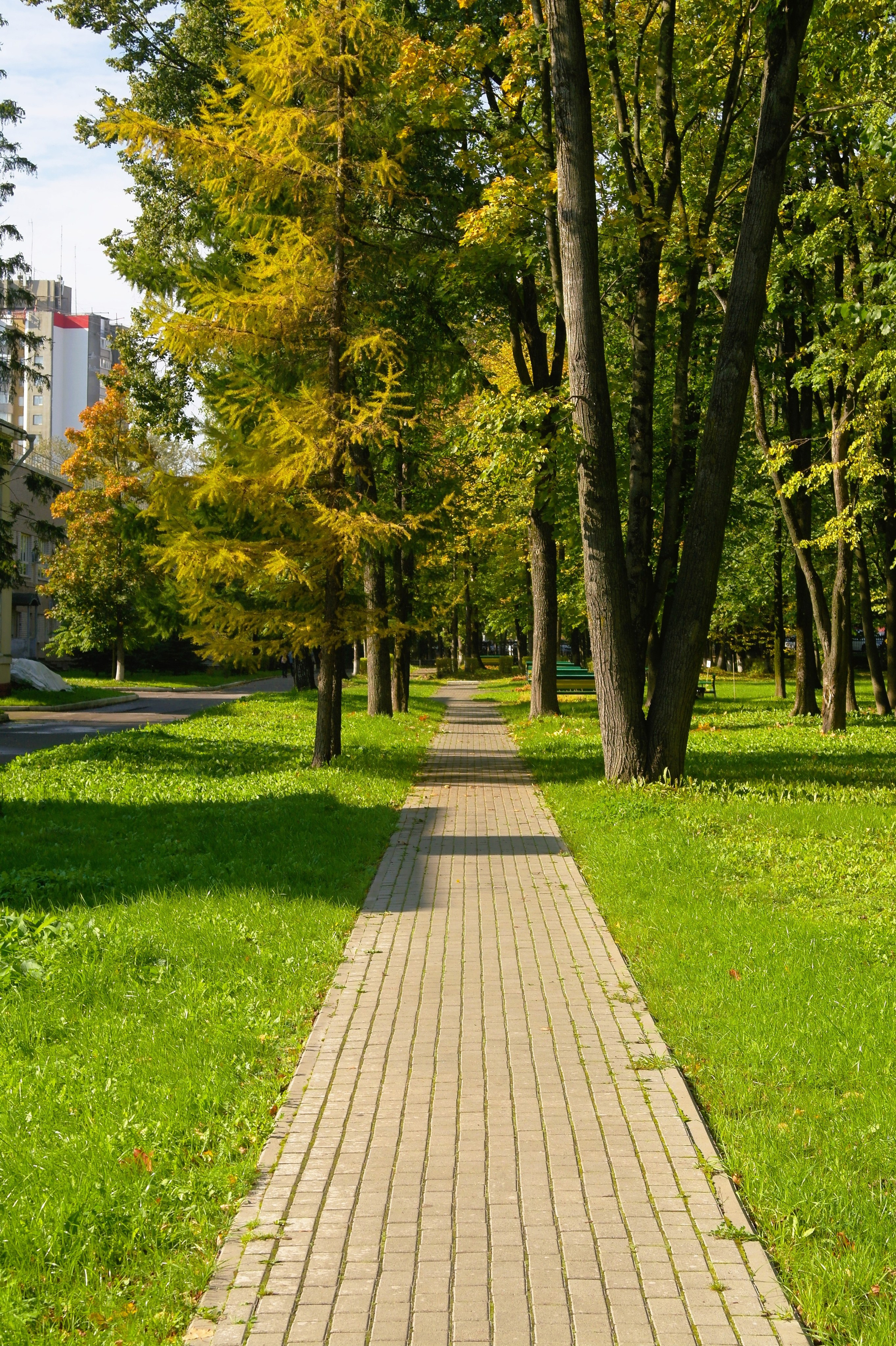 Сентябрь 2025. Den Mirov — Фотограф, Музыкант