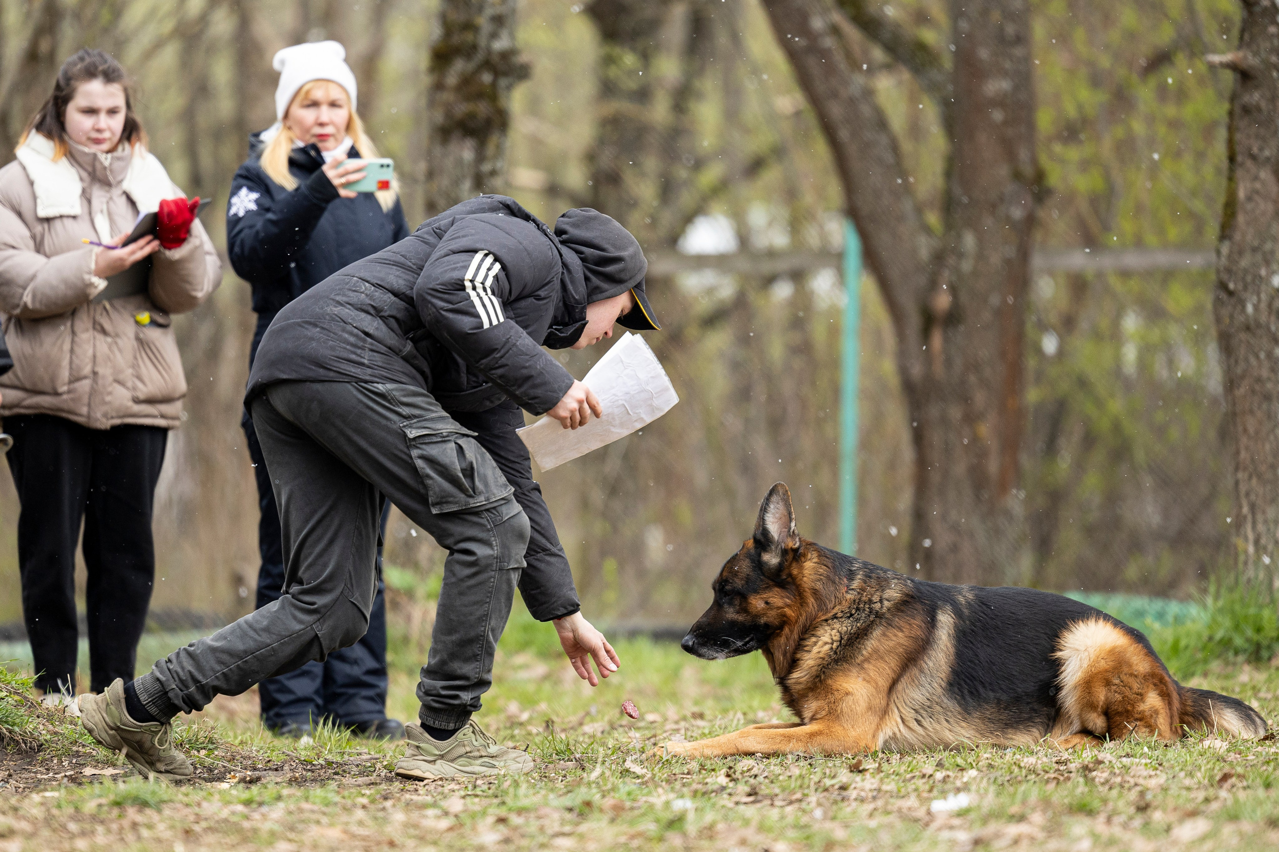 Квалификационные состязания по мондьорингу г. Вологда 11.05.24. Фотограф-анималист Анна Маринич