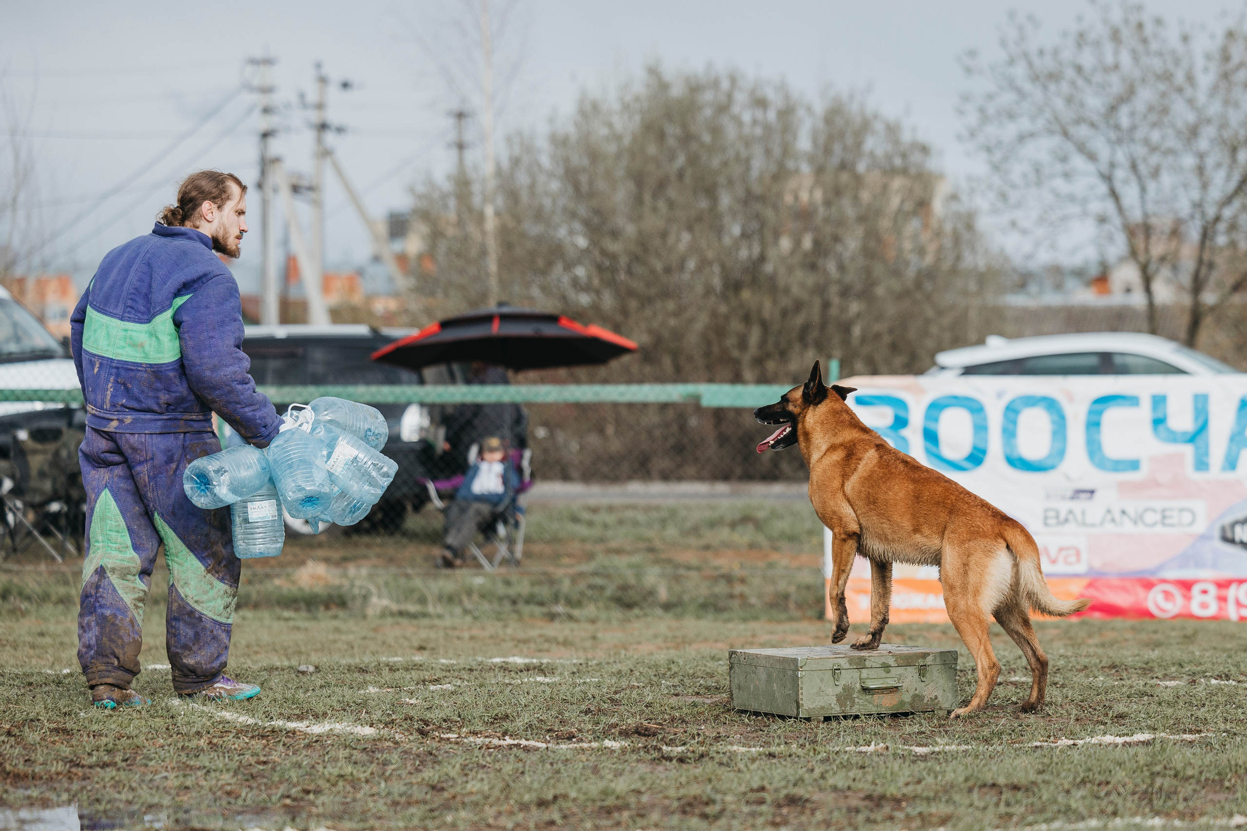 09.05.25 Вологда соревнования. Фотограф-анималист Анна Маринич