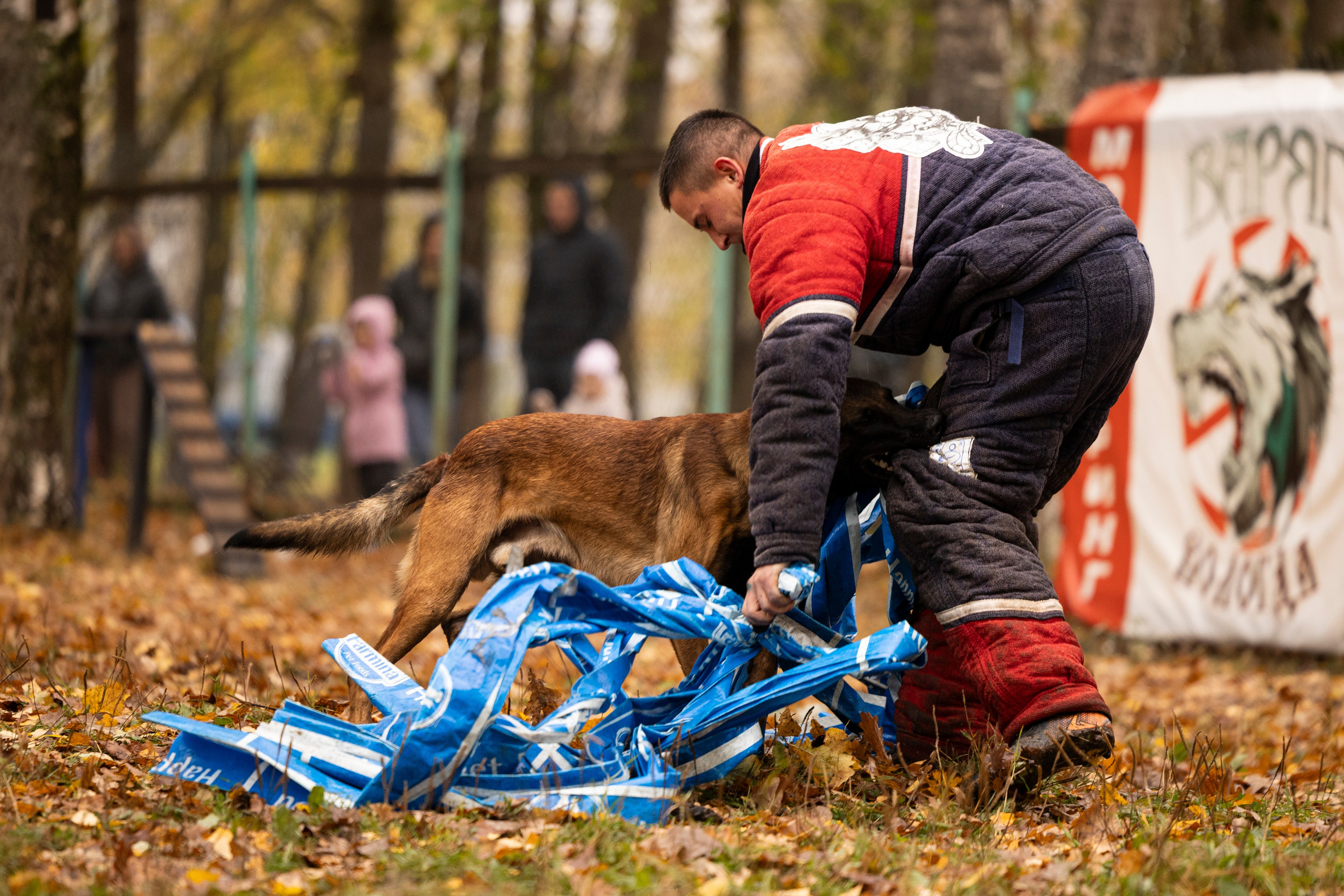 Соревнования по Мондьорингу г. Вологда. Фотограф-анималист Анна Маринич