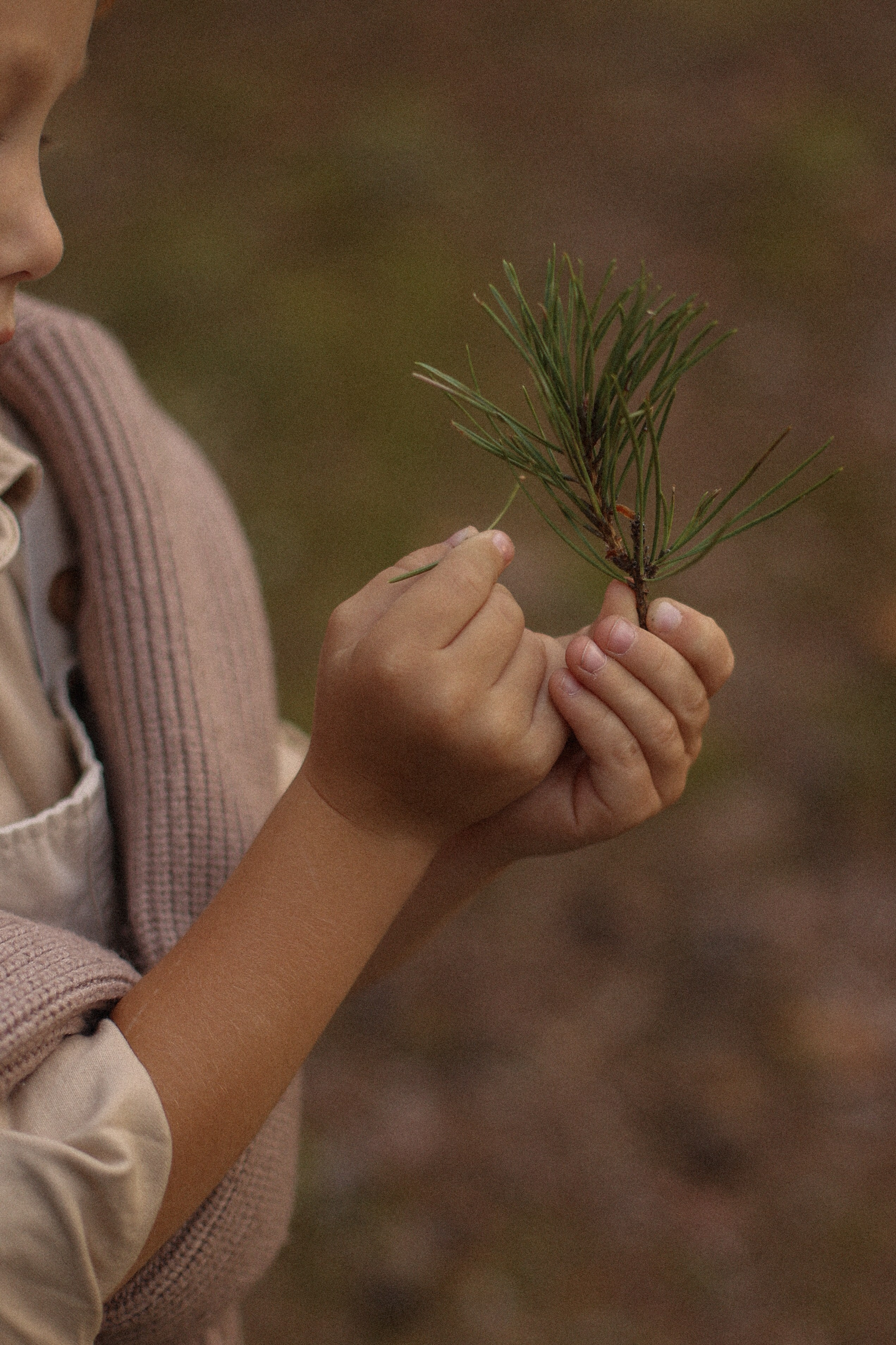 Дротики. Фотограф — Ольга Косолюкина