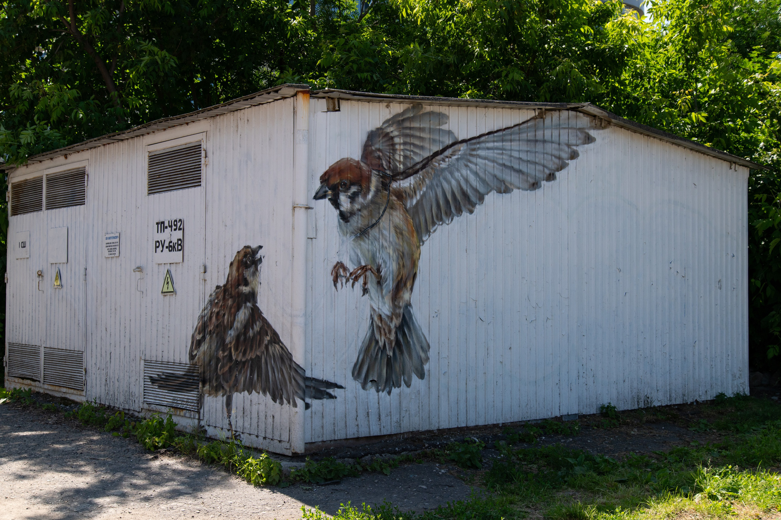 20230612-16 Нижний Новгород. Дмитрий Ремизов. Фотография, как хобби