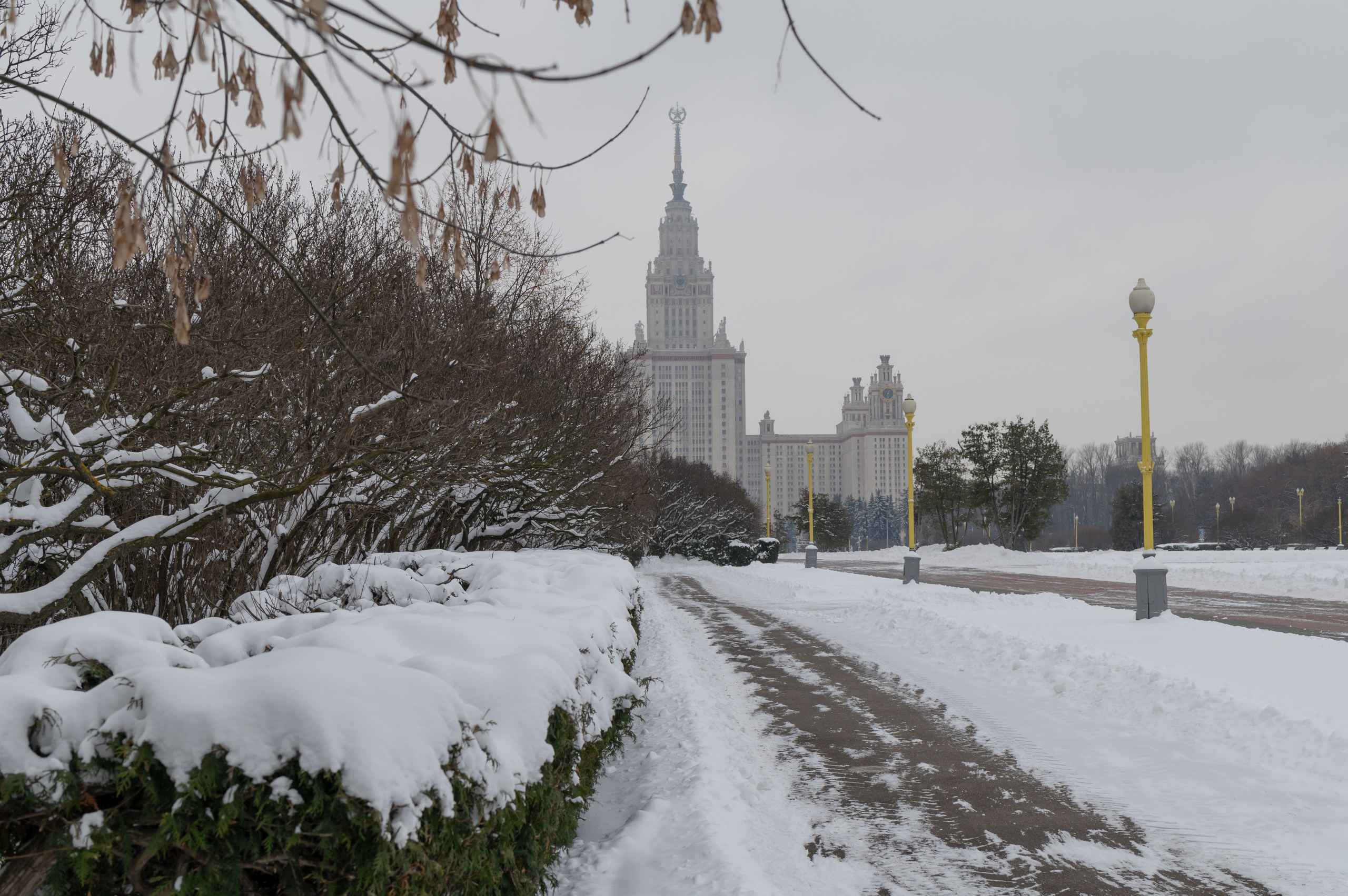 20231126 Смотровая. Дмитрий Ремизов. Фотография, как хобби
