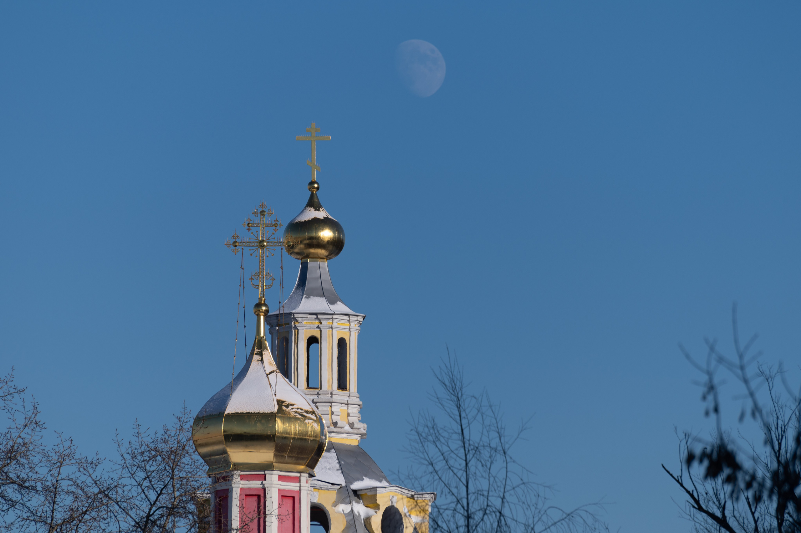 20240120 Воробьёвы горы. Дмитрий Ремизов. Фотография, как хобби