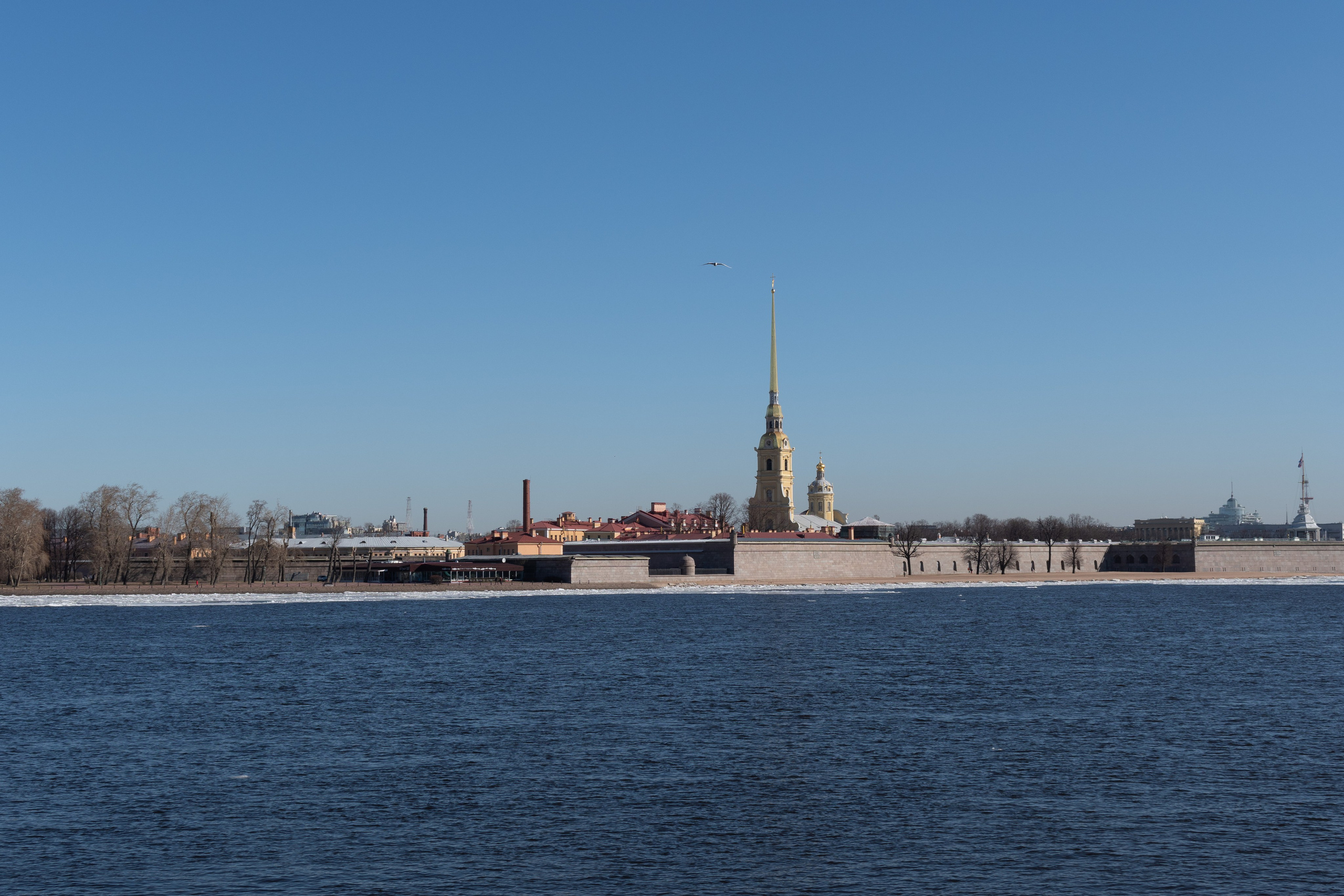 20220411-16 Санкт-Петербург. Дмитрий Ремизов. Фотография, как хобби