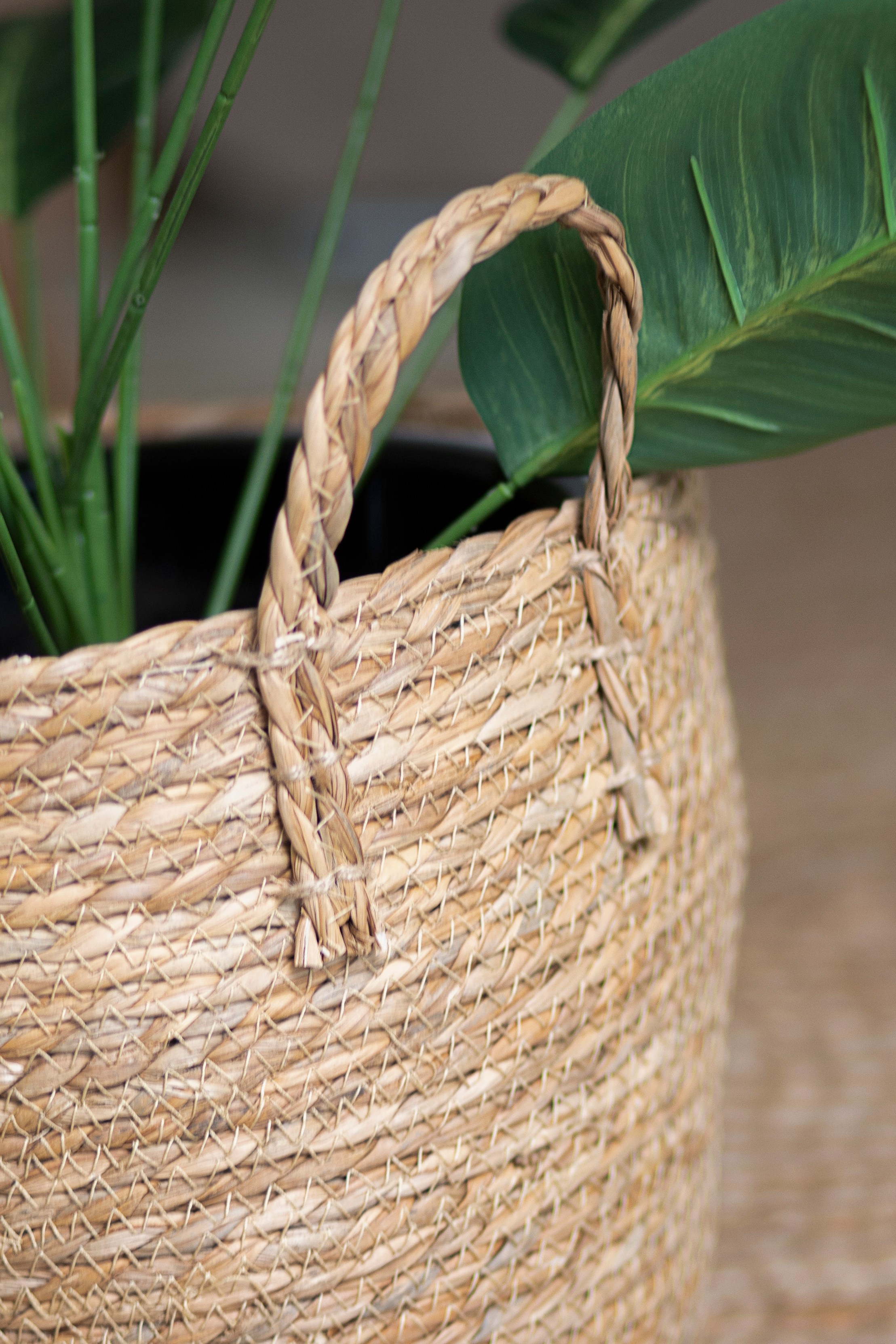 Маркетплейс. Фотограф Пушкино и Москва Анастасия Коган