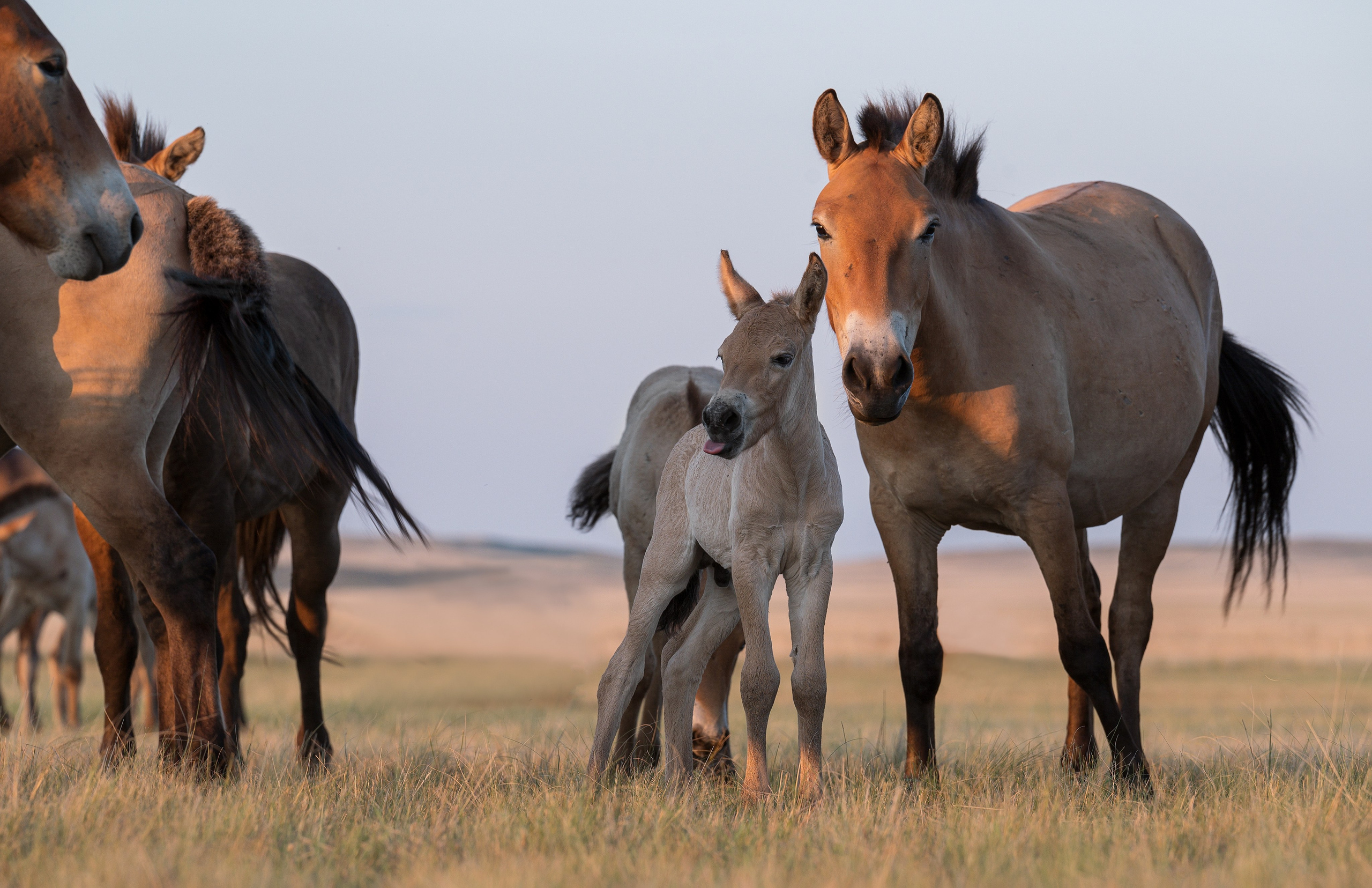 В природе. Портретный фотограф в Челябинске Катерина Руди