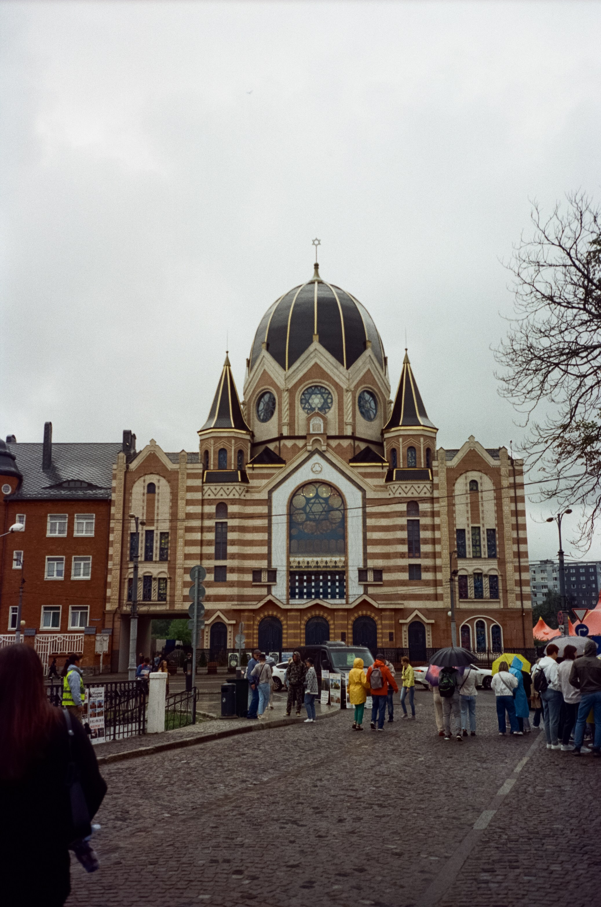 Остров Канта и Кафедральный Собор. Фотограф-документалист Мария Осокина