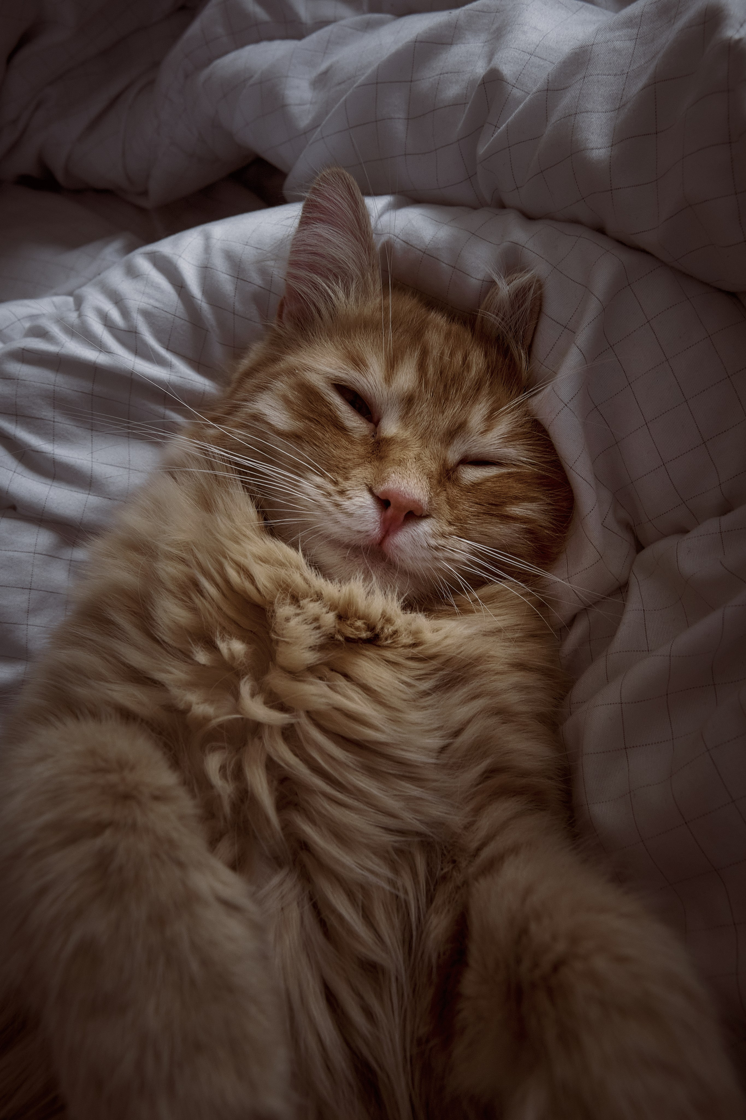 Сyprus > 2024 / april. Aleksandr Kobtsev