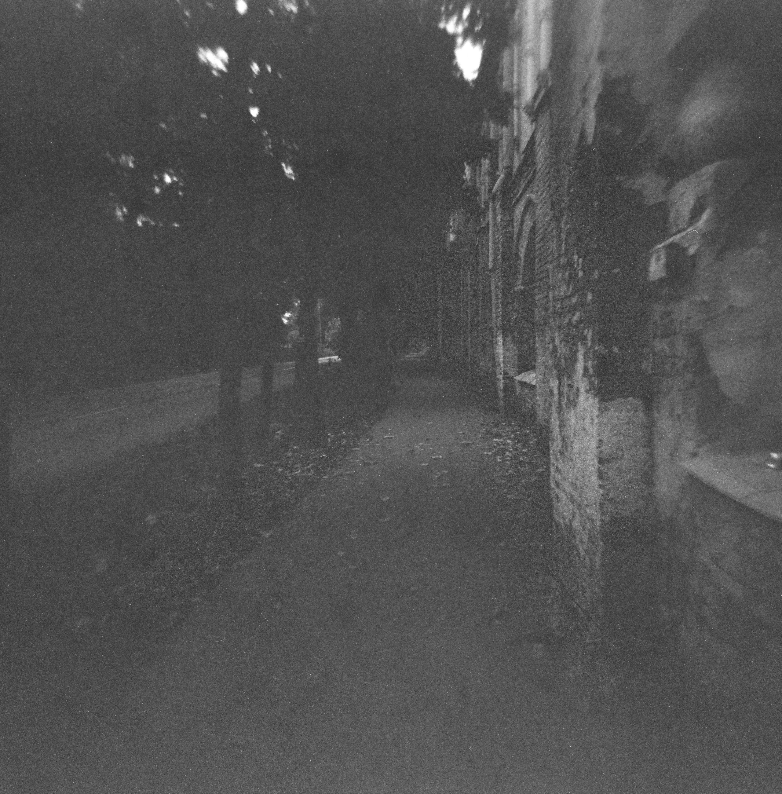 Плёнка. Holga120CFN. Фотограф портретист в Санкт Петербурге Дроздова Алла