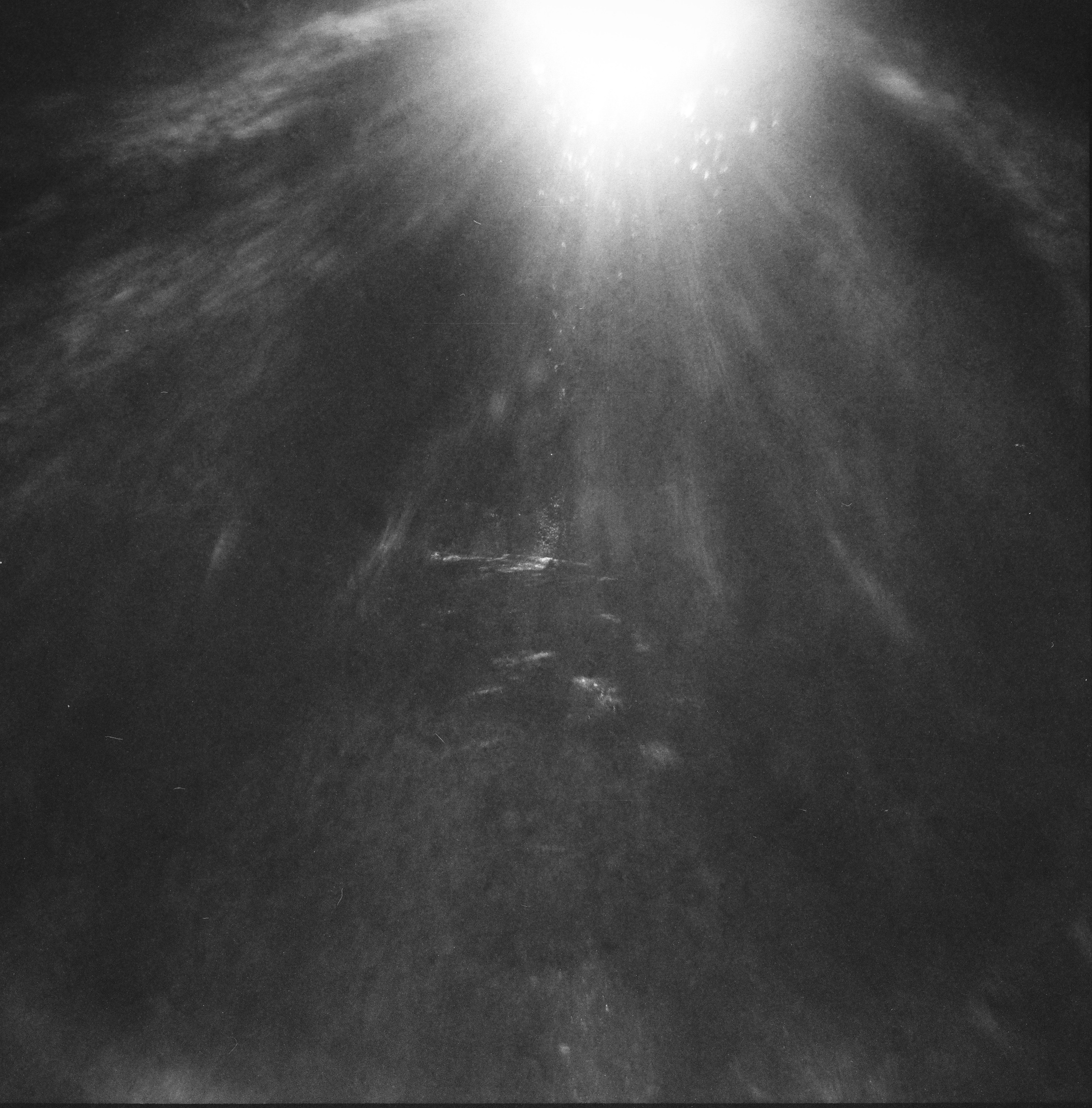 Плёнка. Holga120CFN. Фотограф портретист в Санкт Петербурге Дроздова Алла