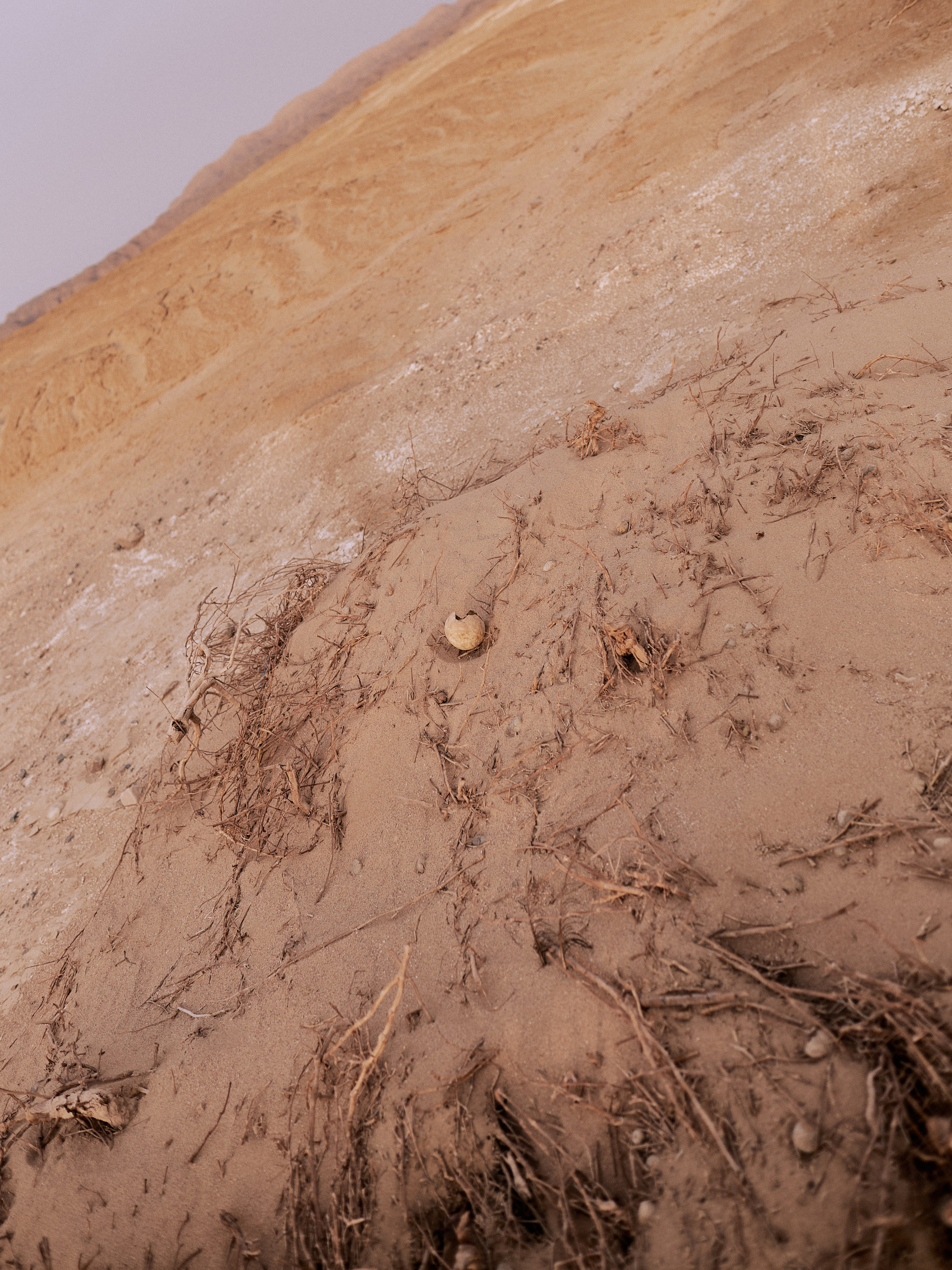 Другое 3. Jorgis Talè — photographer, kind person, teacher of arts and other mag