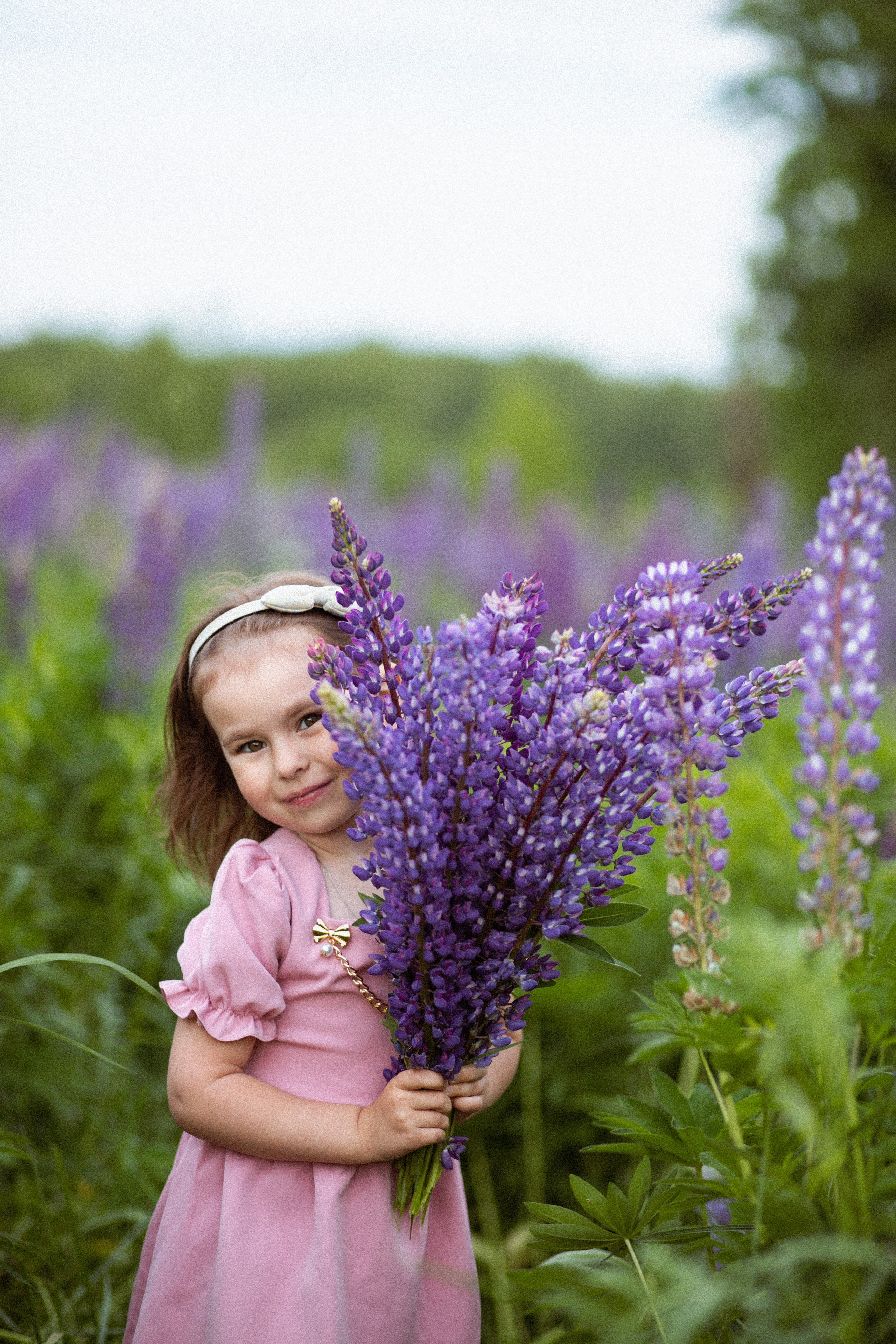 Июньские люпины. Фотограф в Москве/Санкт-Петербурге
