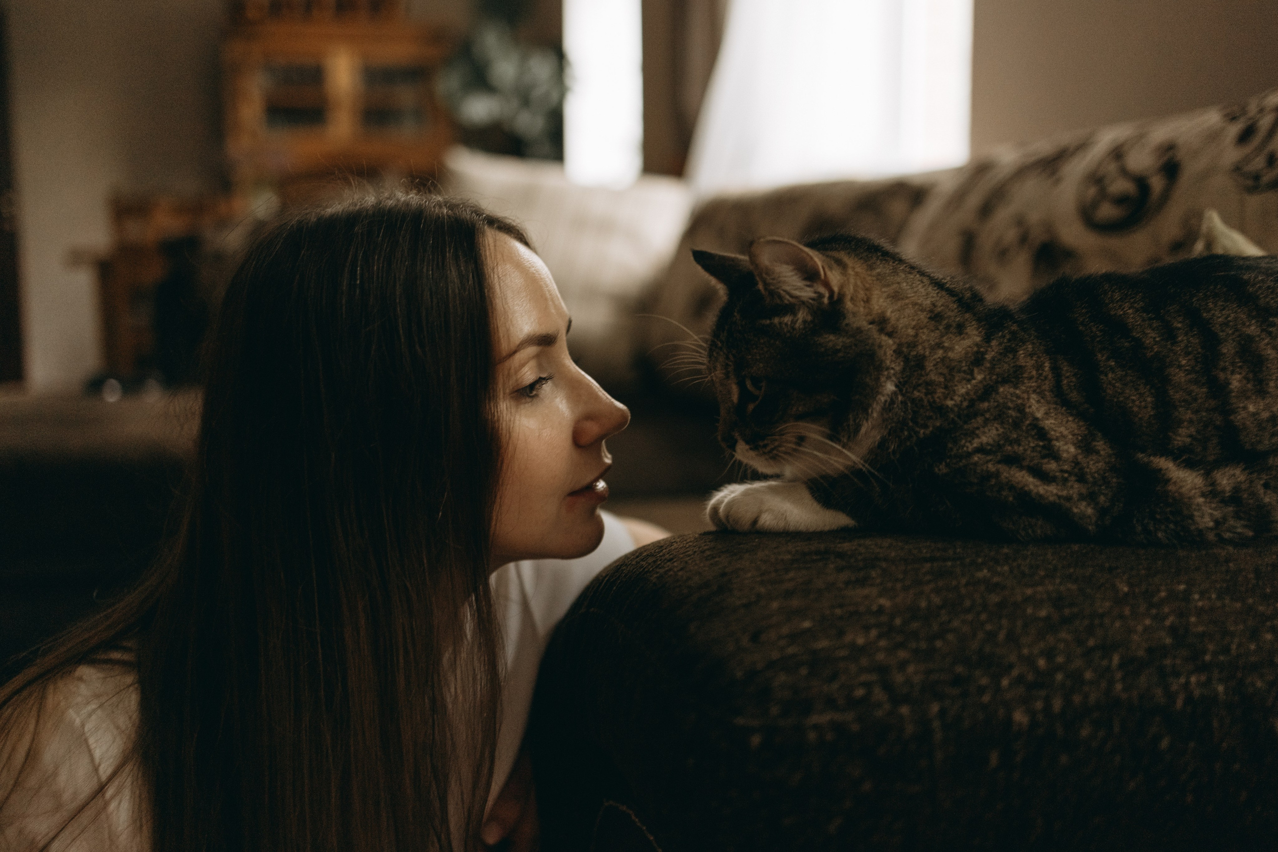 Софа и ее хвостики. Фотограф — Анималист | Санкт-Петербург