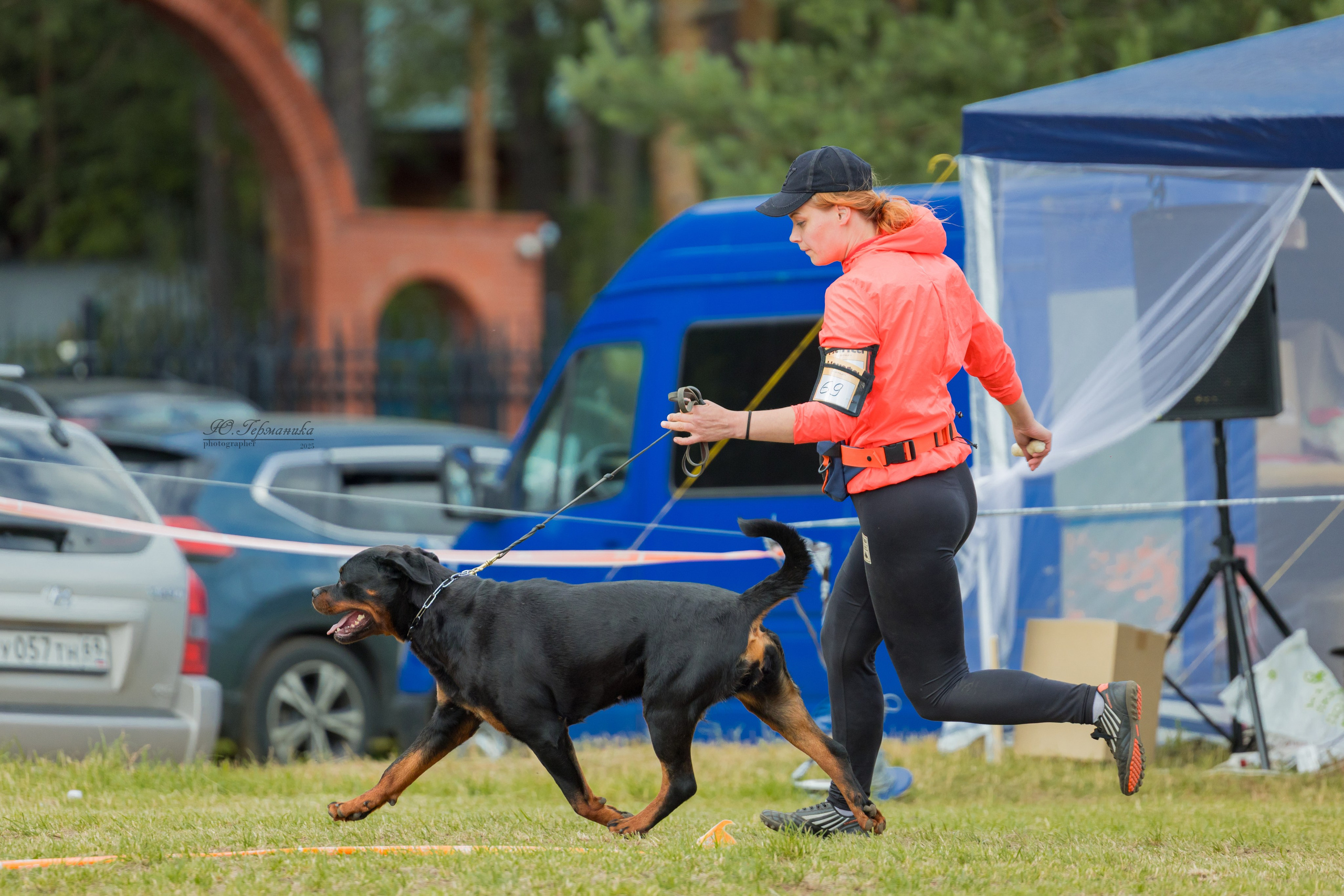 Тверь ротвейлеры 5-6.07.2025. Фотограф-анималист Юлия Германика