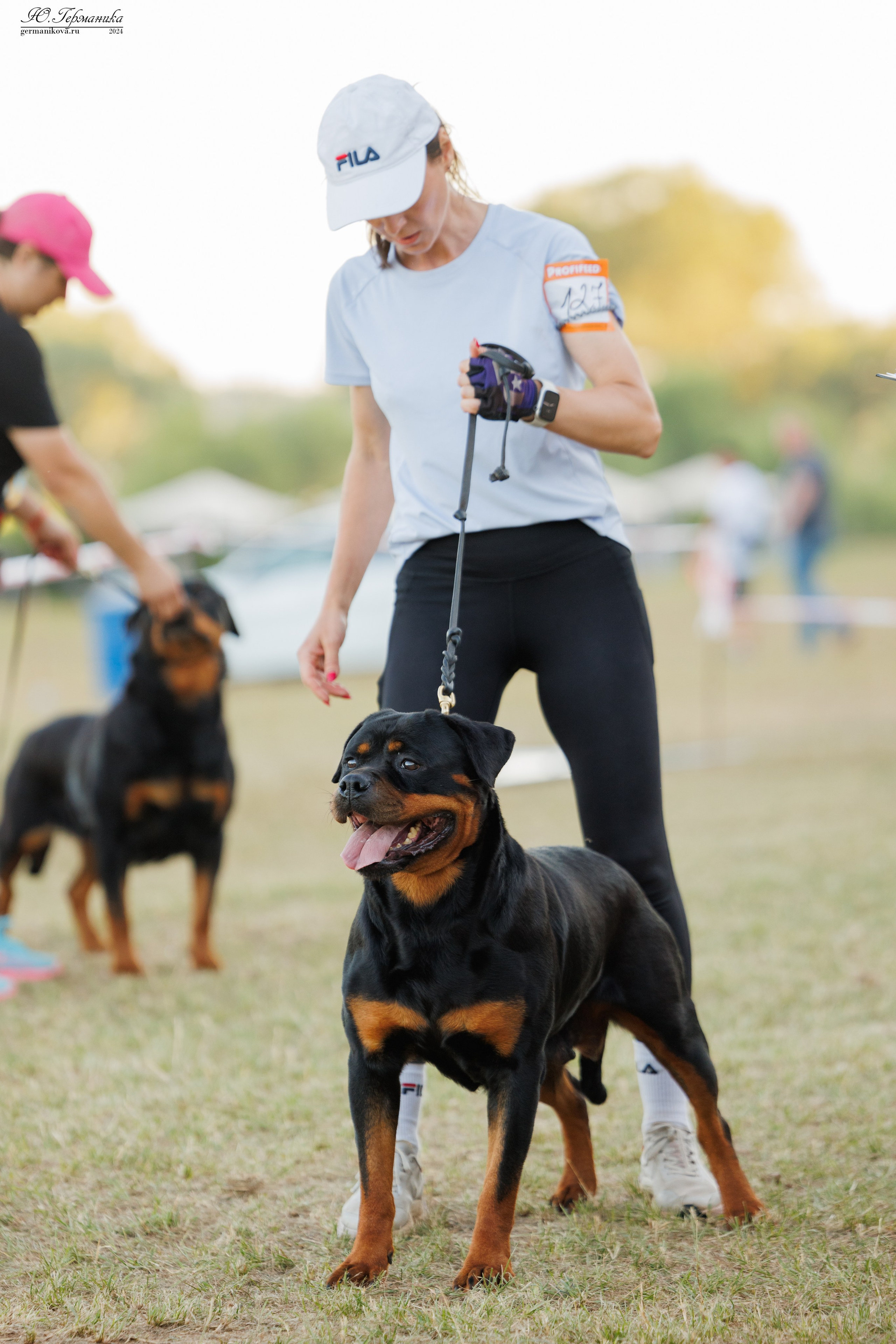 ПК и КЧК ротвейлеры Тверь 6-7.07.2024. Фотограф-анималист Юлия Германика