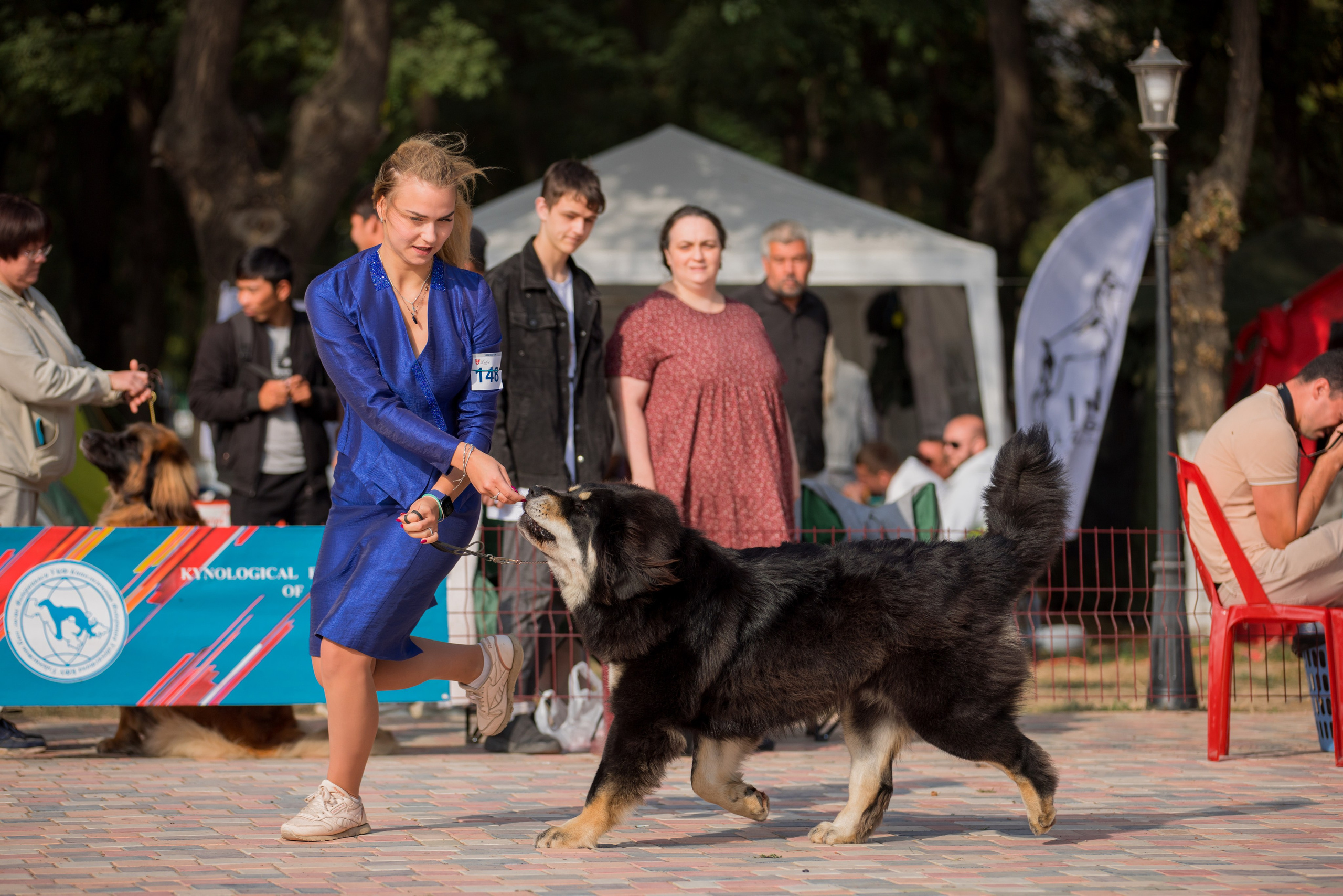 Ташкент 6-8.10.2023 + Алматы 14-15.10.2023. Фотограф-анималист Юлия Германика